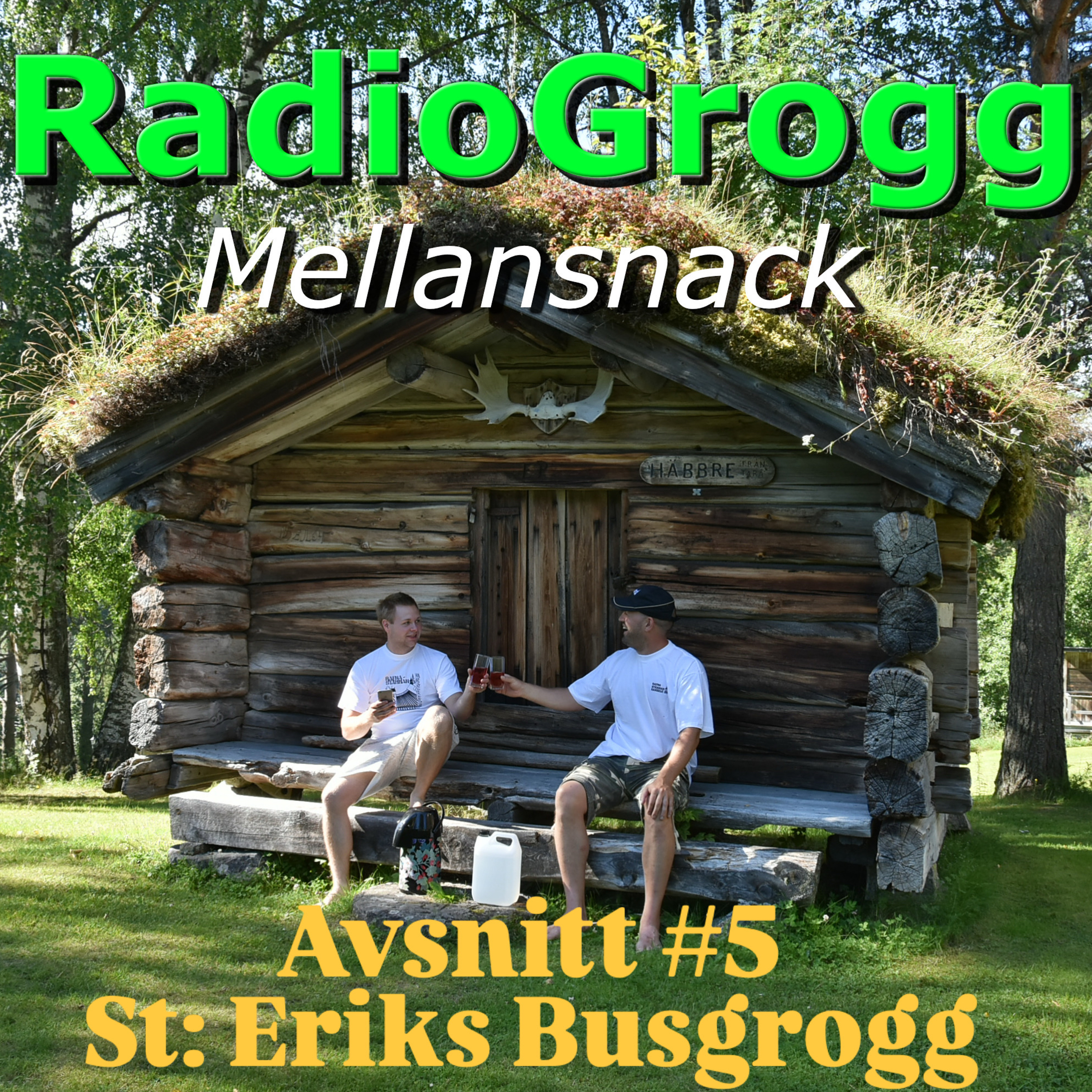 #5 - St: Erik’s Busgrogg episode artwork