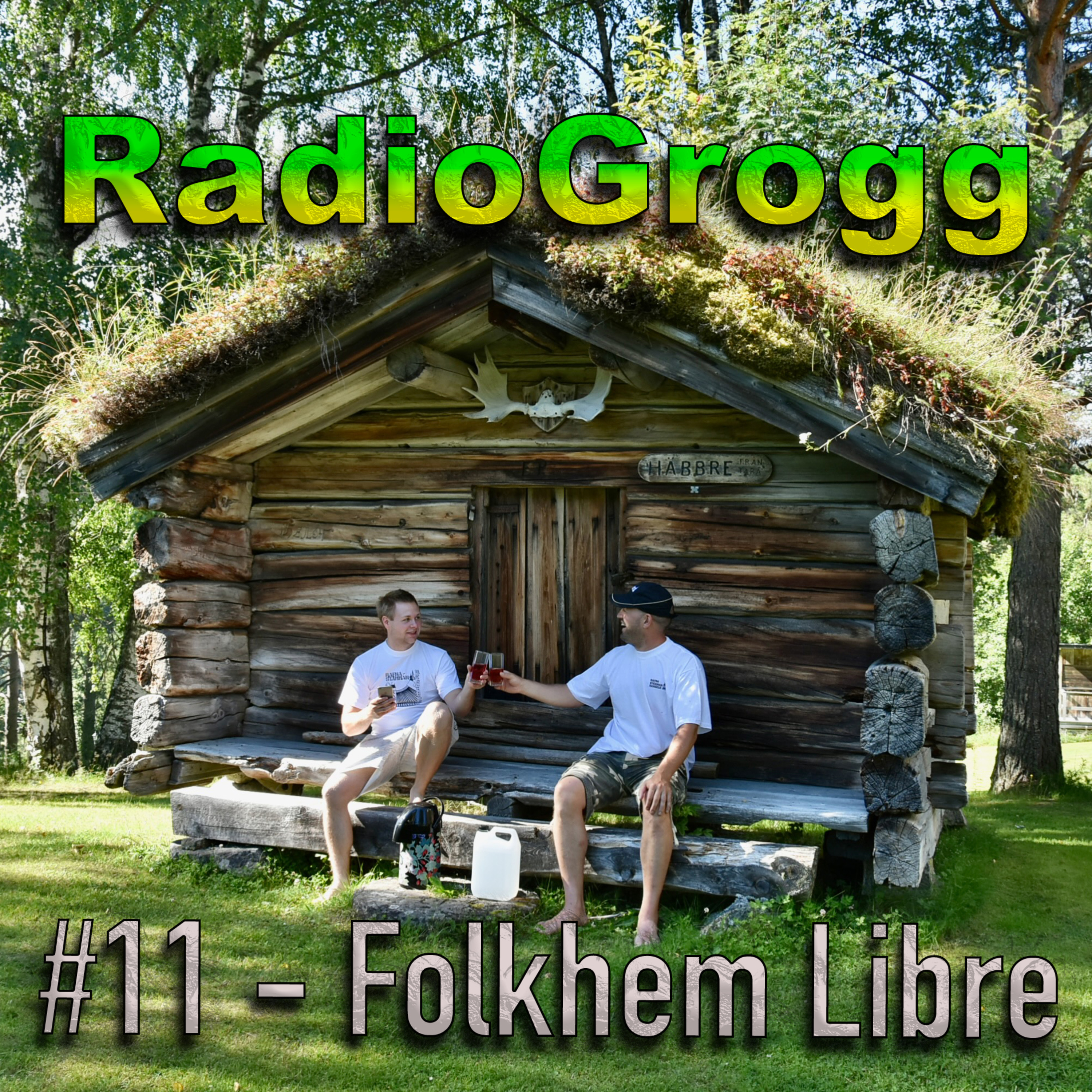 #11 - Folkhem Libre episode artwork