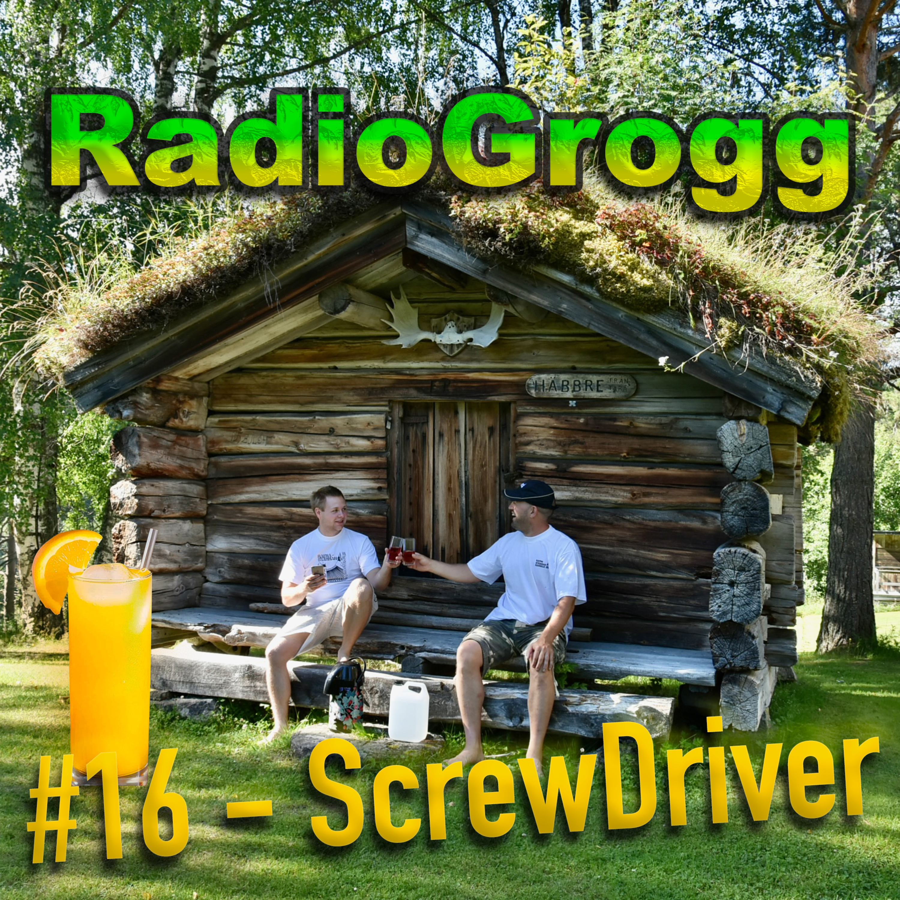 #16 - ScrewDriver episode artwork
