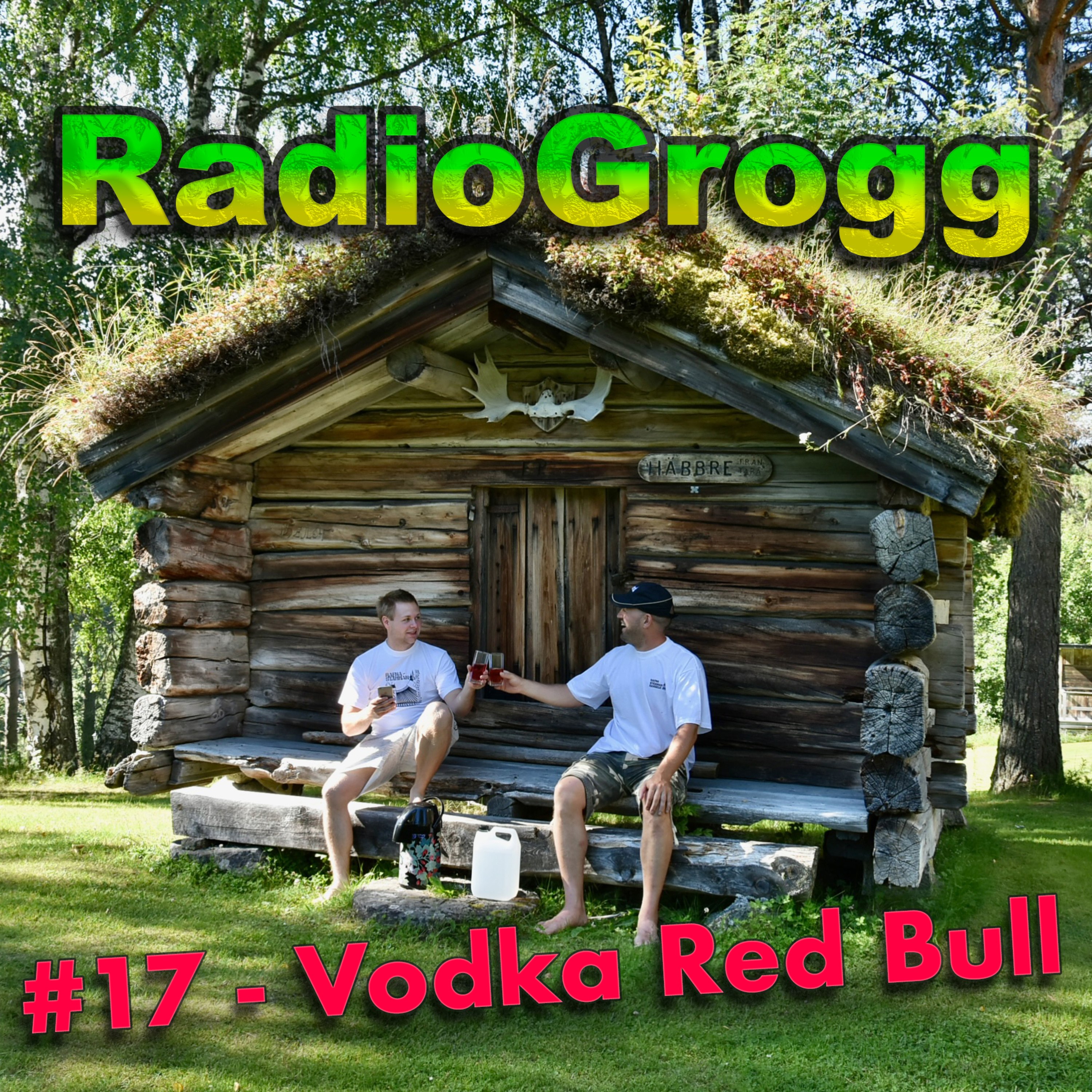 #17 - Vodka Red Bull episode artwork