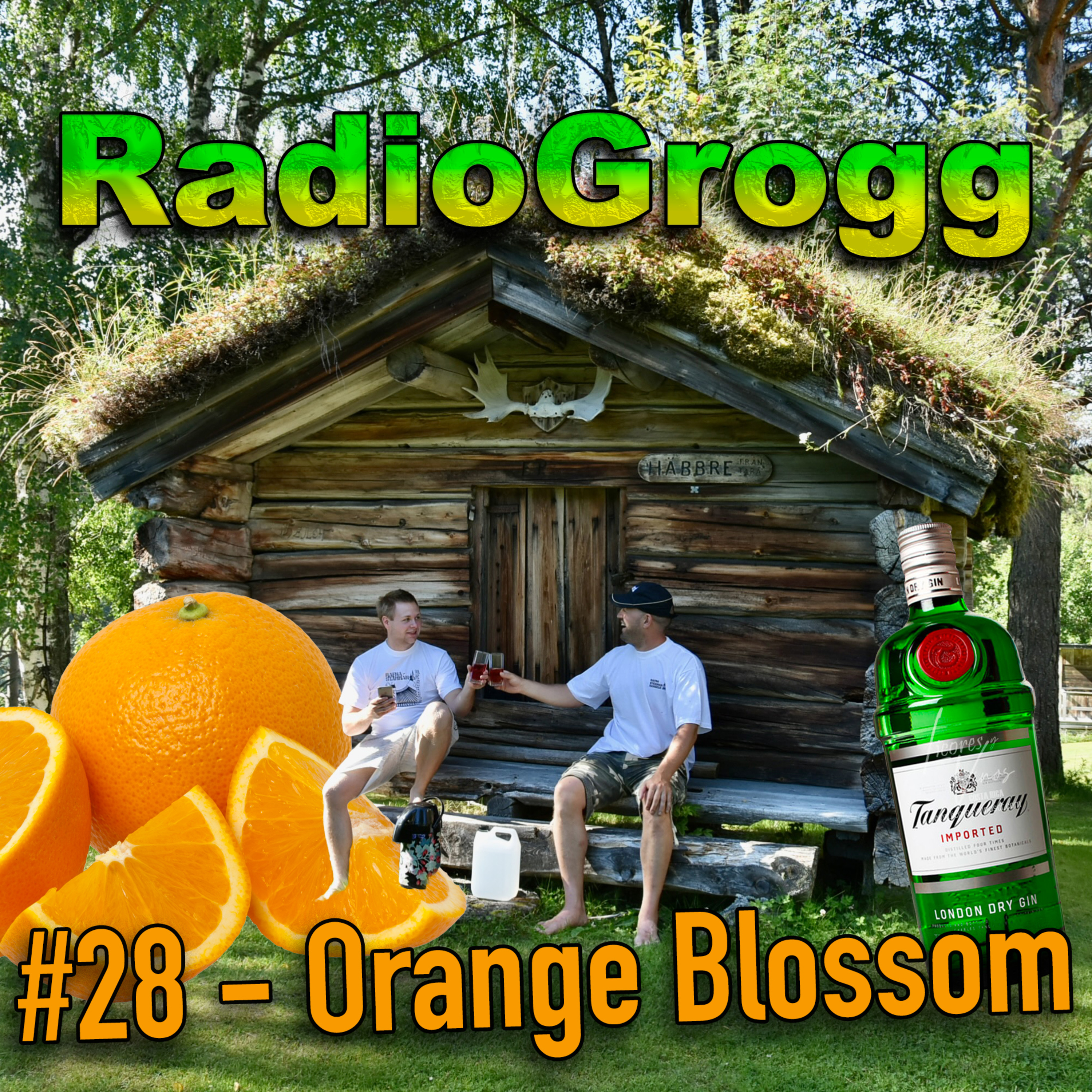 #28 - Orange Blossom episode artwork