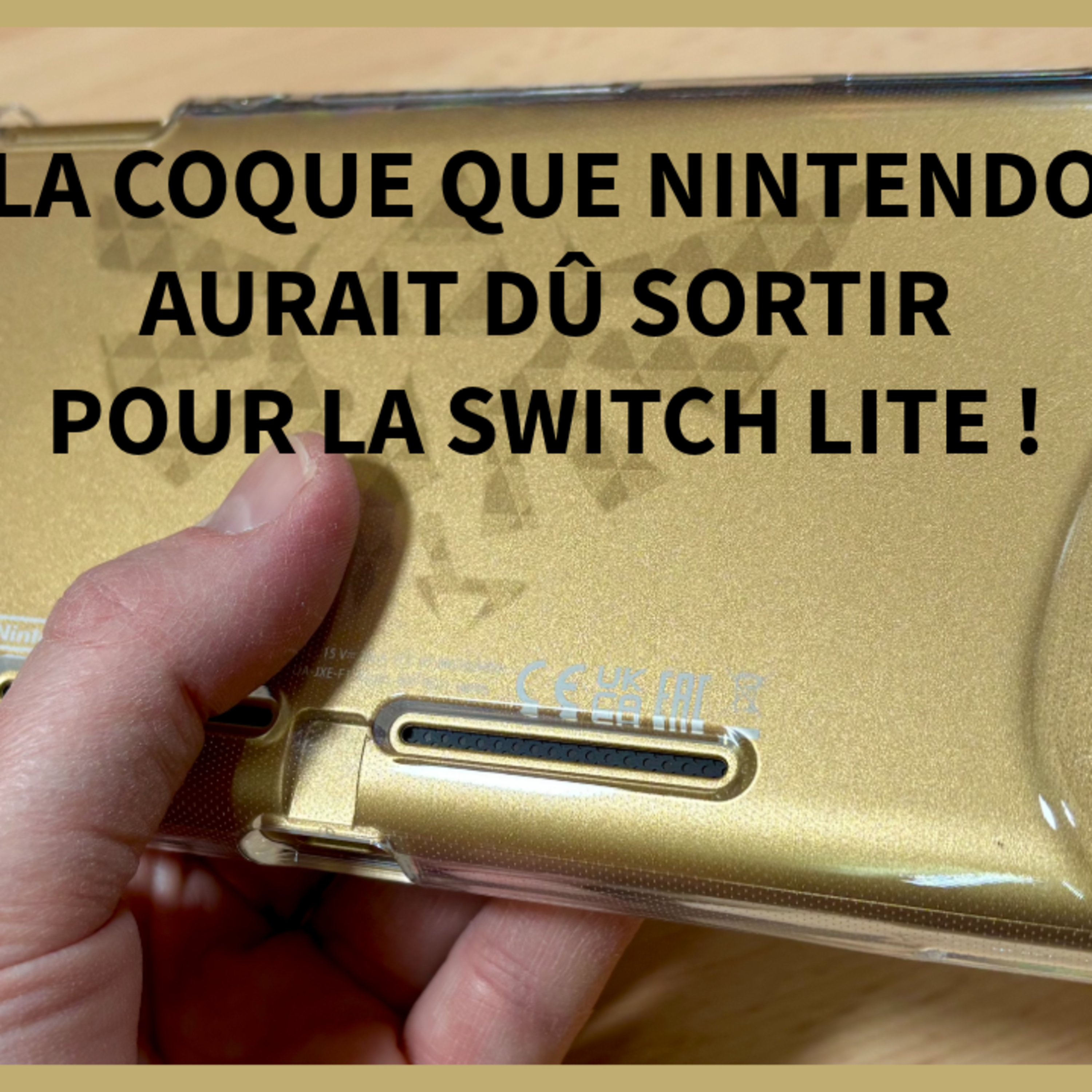 La coque que Nintendo aurait dû fournir pour la Switch Lite ! episode artwork