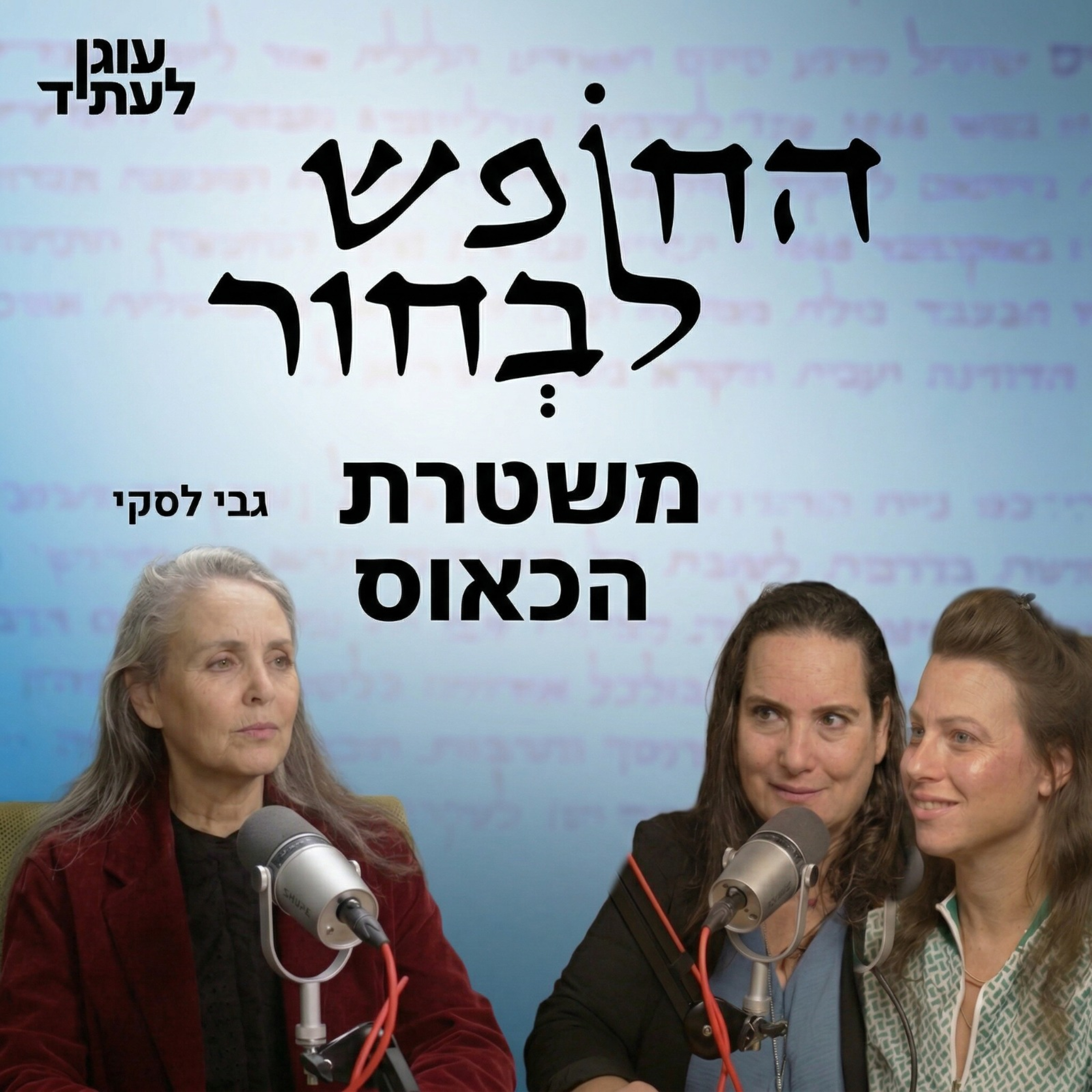 משטרת הכאוס