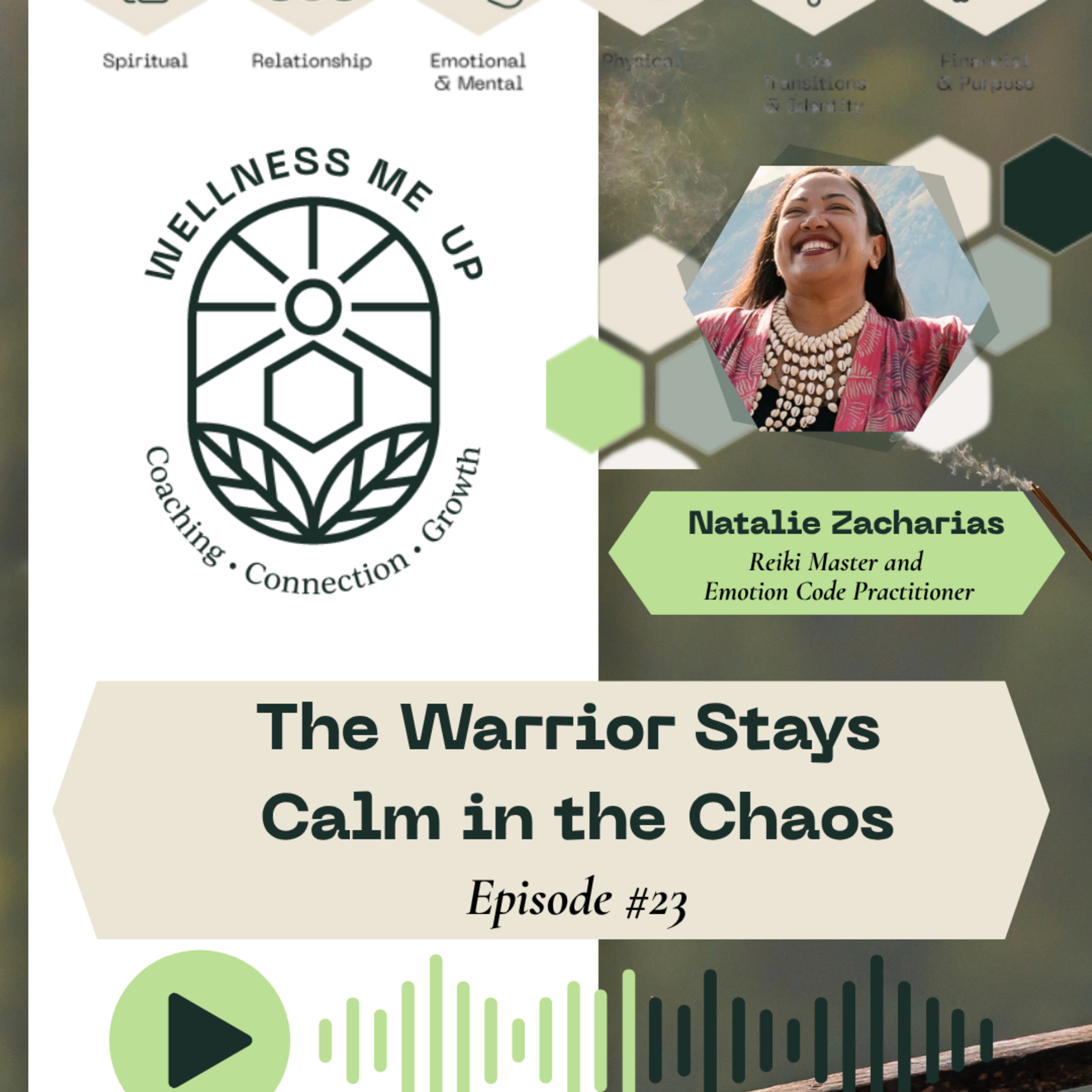 The Warrior Stays Calm in the Chaos episode artwork