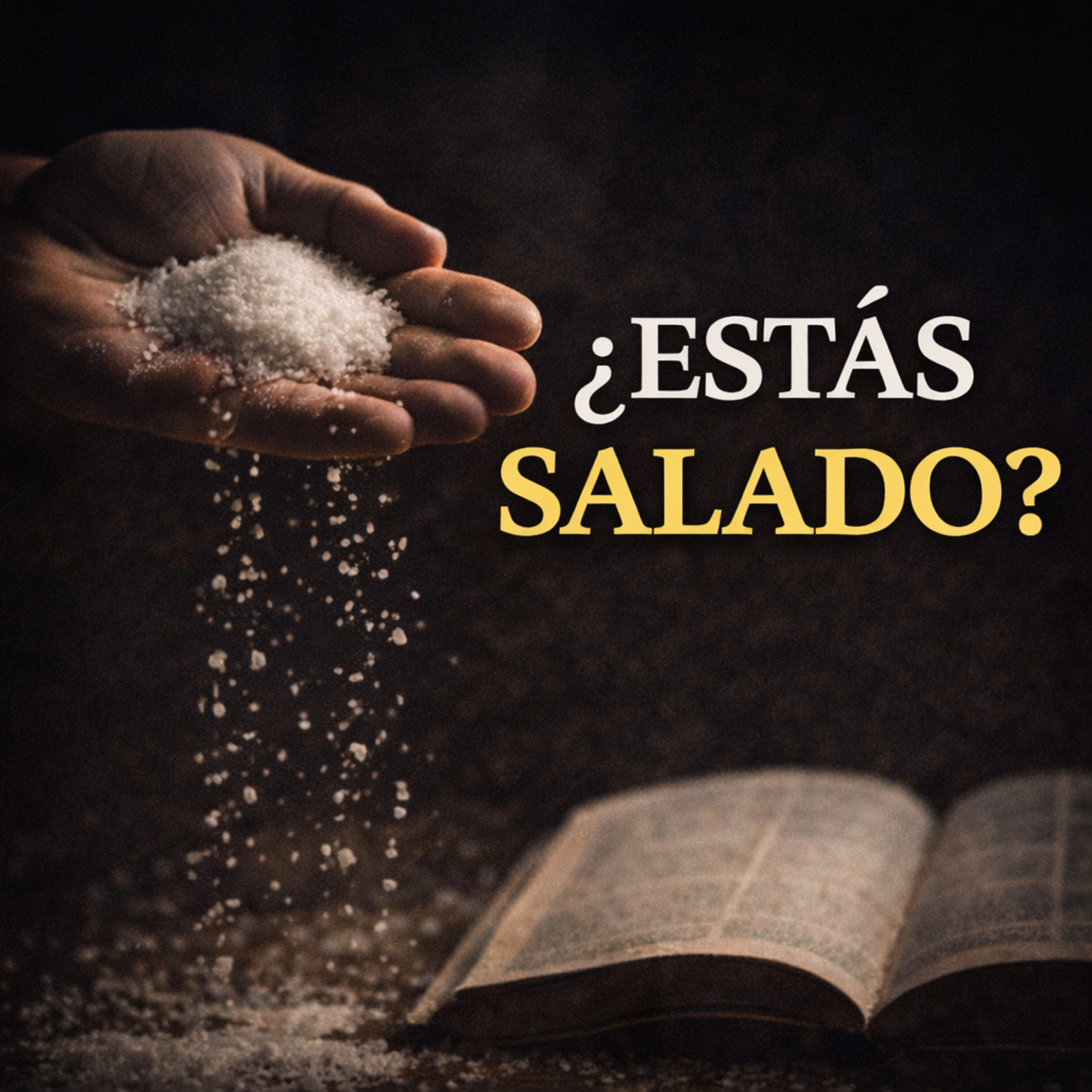 Predica- ¿Y tú, estás salado? | El significado bíblico de Mateo 5:13- Por Becky Del Moral episode artwork