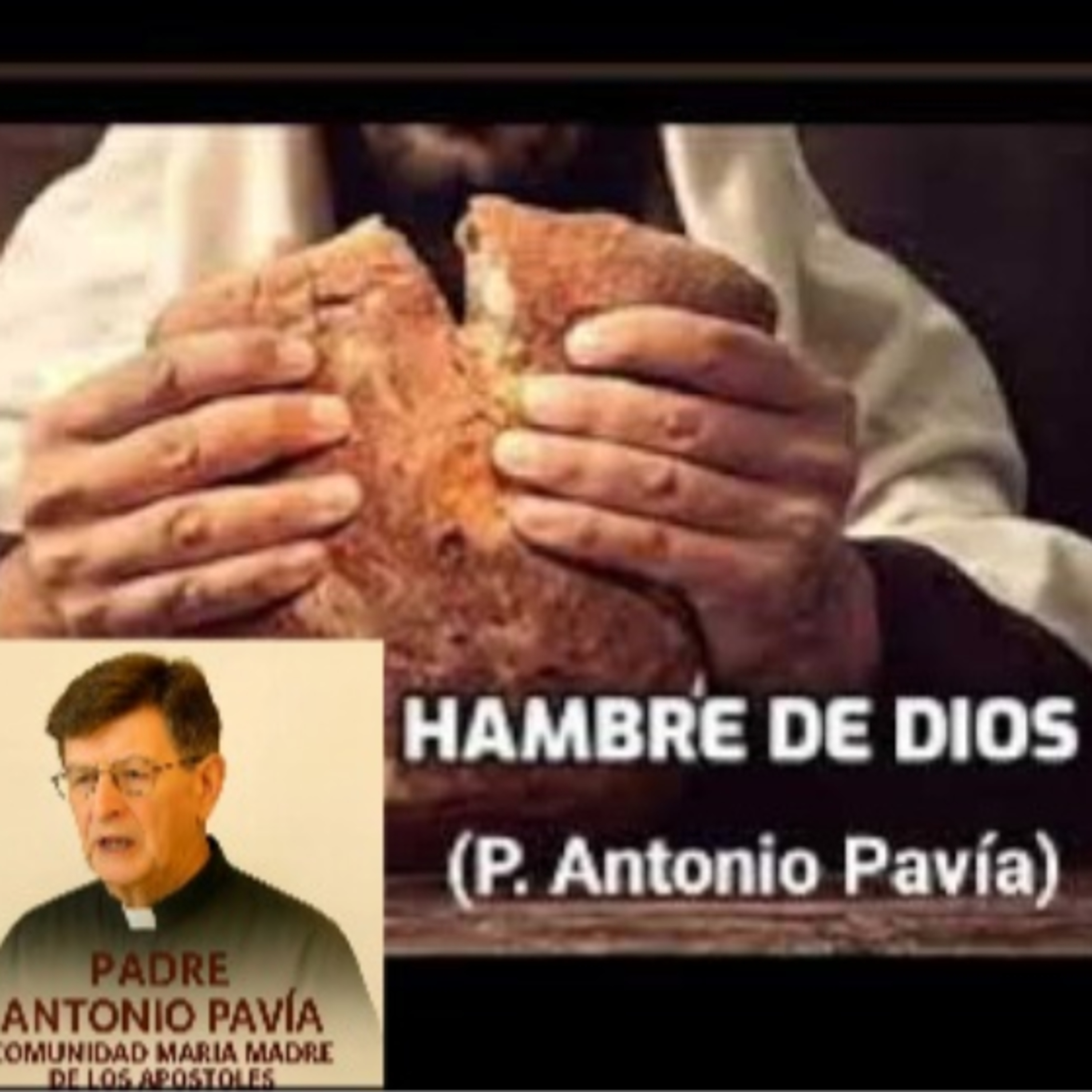 Evangelio del I Domingo de Cuaresma (Mt 4,1-11)
 22 de Febrero de 2026
Homilia Padre Antonio Pavia  episode artwork