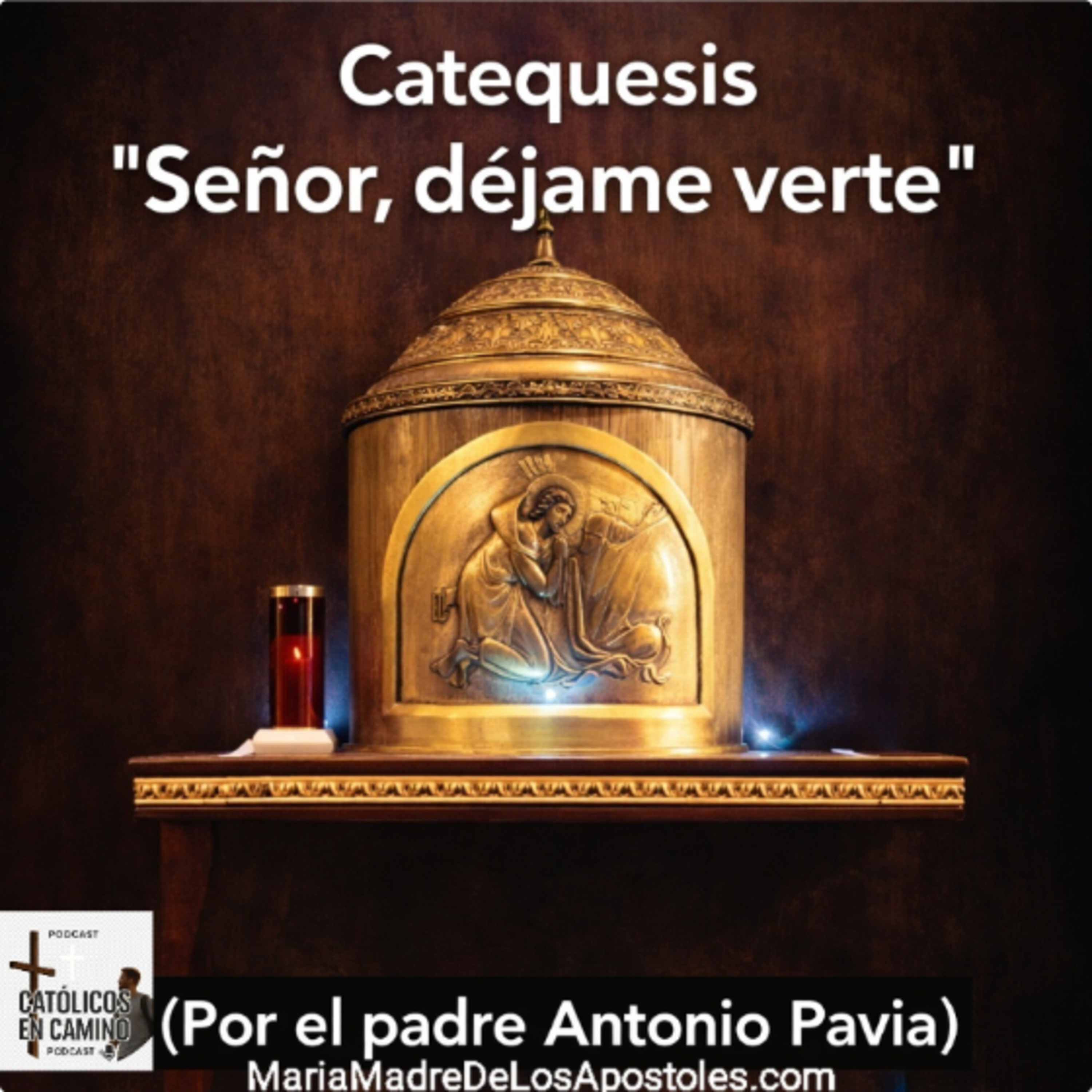 Evangelio IV Domingo de Cuaresma (Jn 9,1-11. 31-41)
15 de Marzo 2026
Reflexión Padre Antonio Pavia  episode artwork
