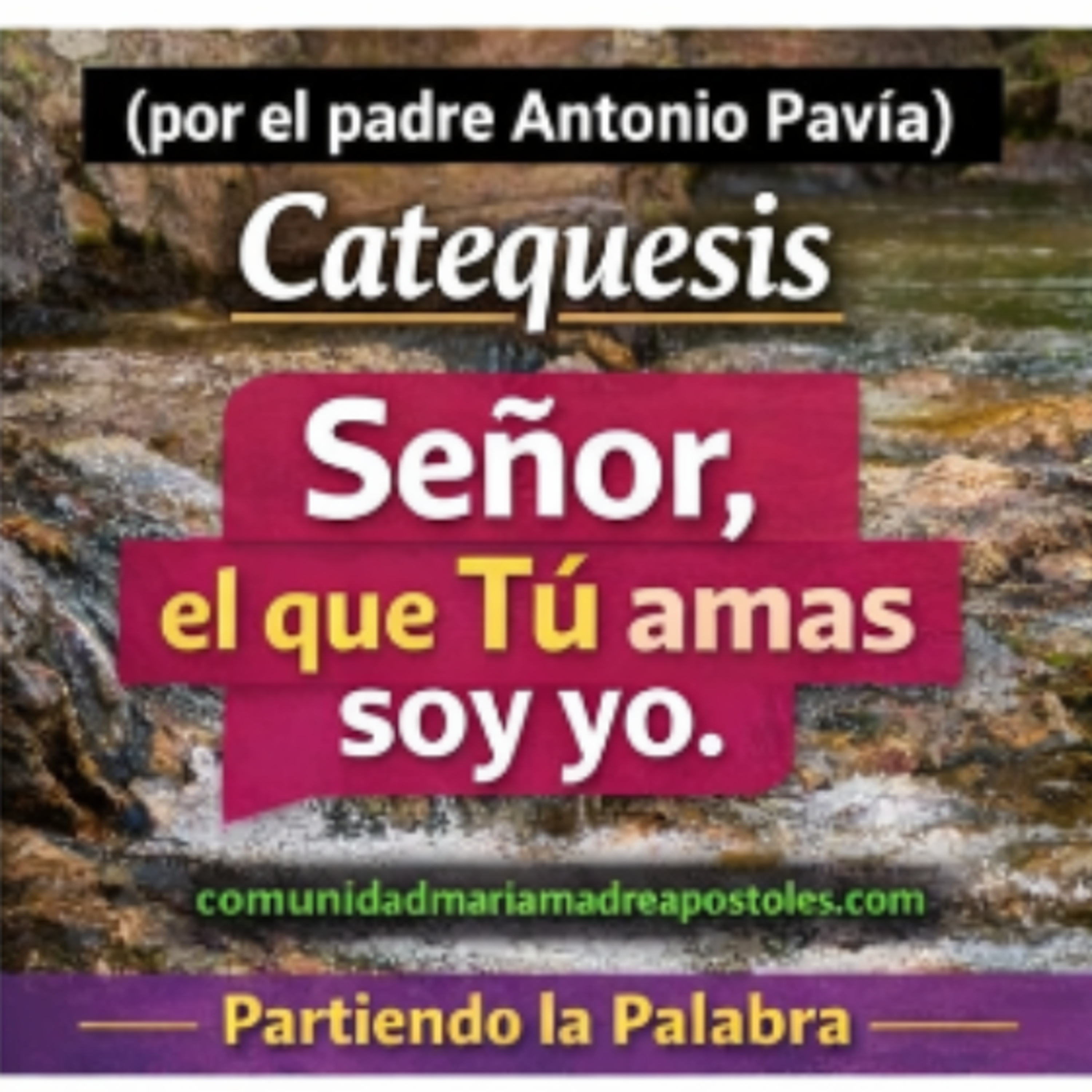 Evangelio del V Domingo de Cuaresma 
(Jn 11,1-5. 17. 20-26. 41-44)
Homilia Padre Antonio Pavía  episode artwork