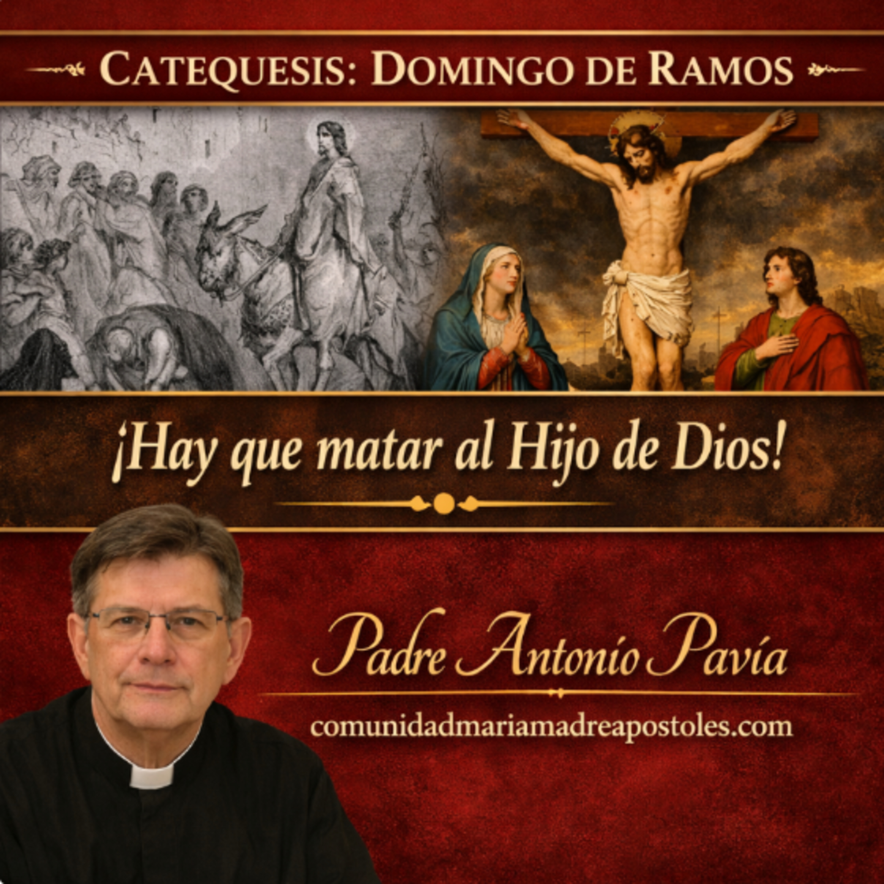 Evangelio Domingo de Ramos (Mt 27 27-31, 39-50) 
29 de Marzo de 2026
Homilia Padre Antonio Pavia episode artwork