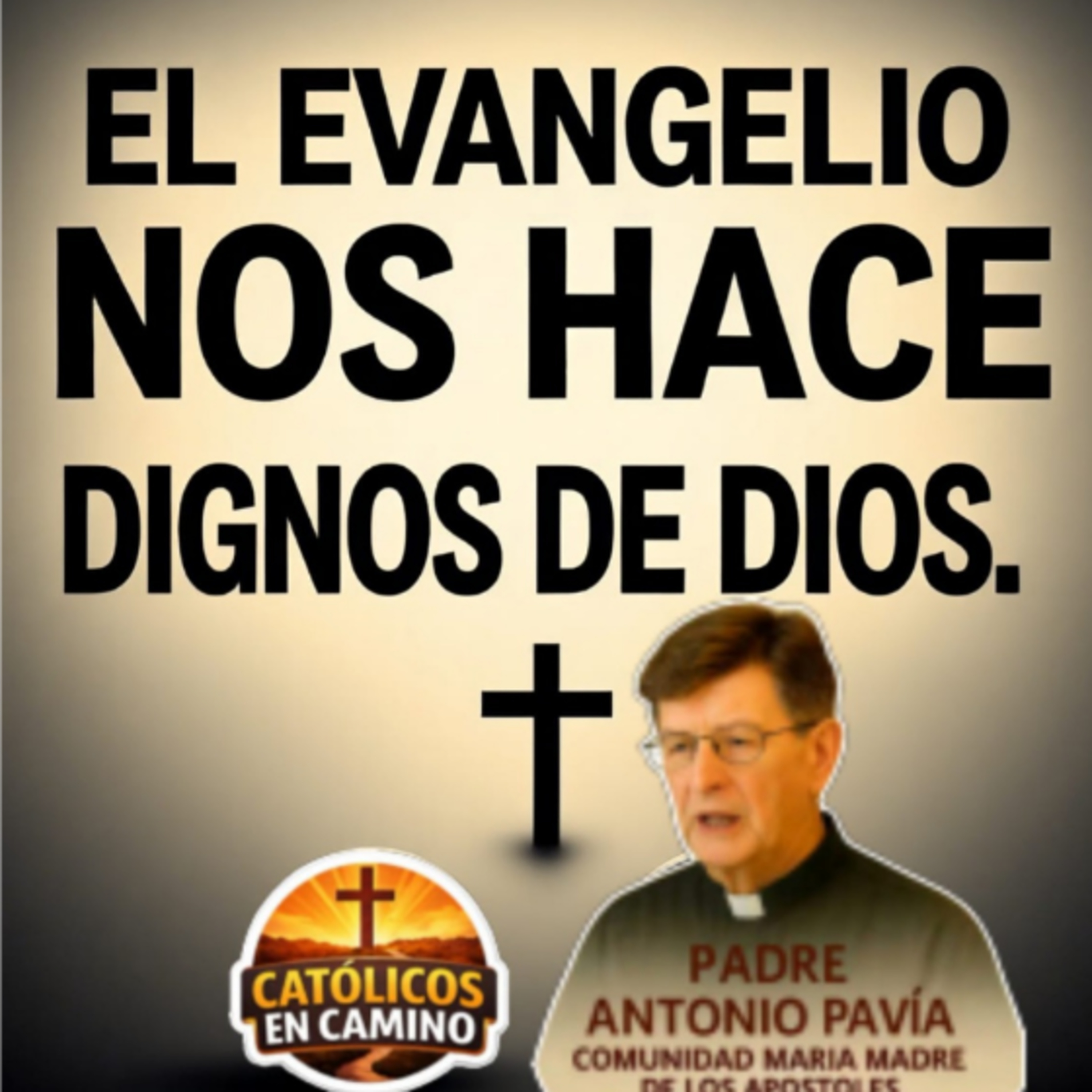 Santo Evangelio del XIII Domingo 
Tiempo Ordinario  Mt 10,37-42 
28 de Junio 
Padre Antonio Pavía