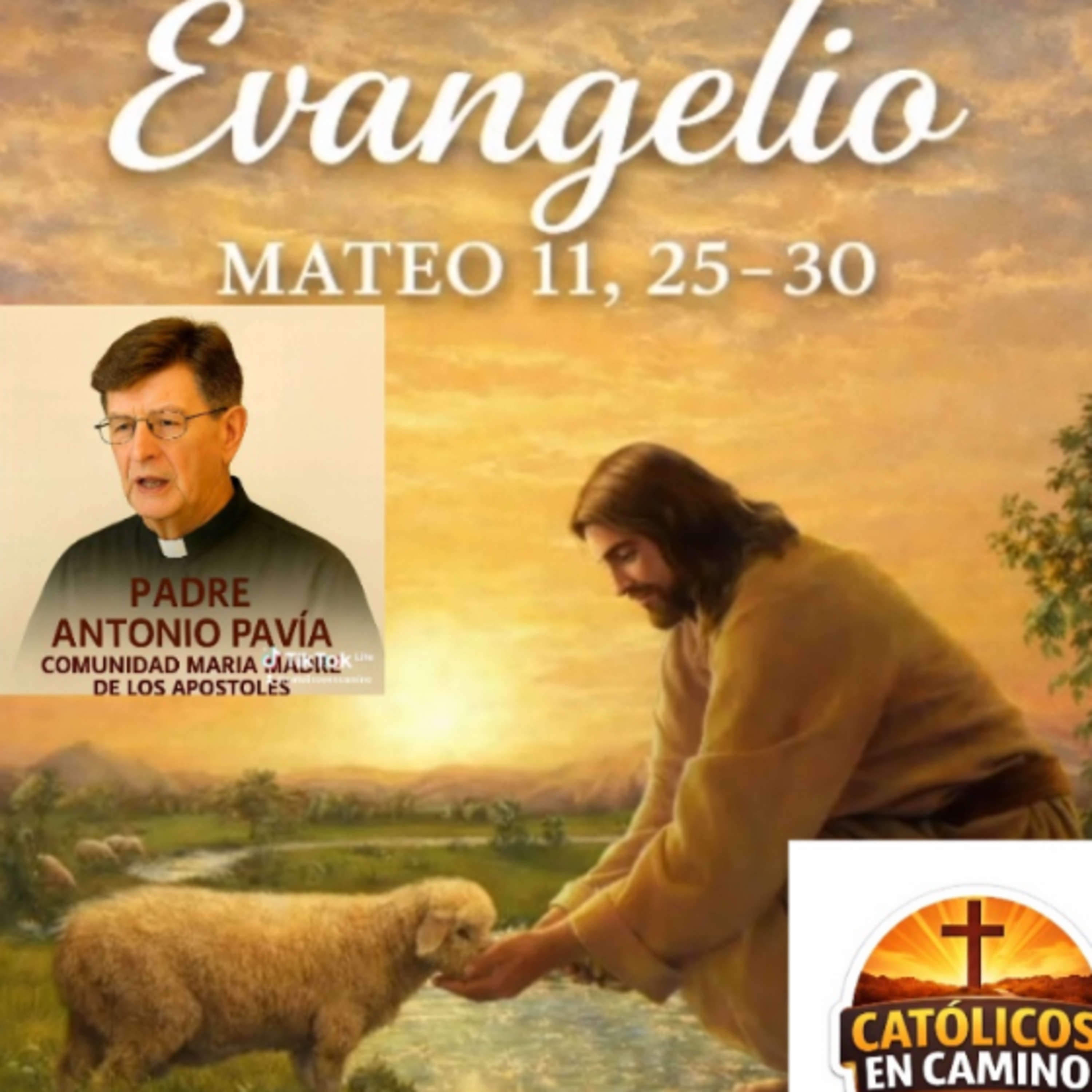 Evangelio del Domingo XIV 
del Tiempo Ordinario 
(Mt 11, 25-30)
Homilia Padre Antonio Pavía