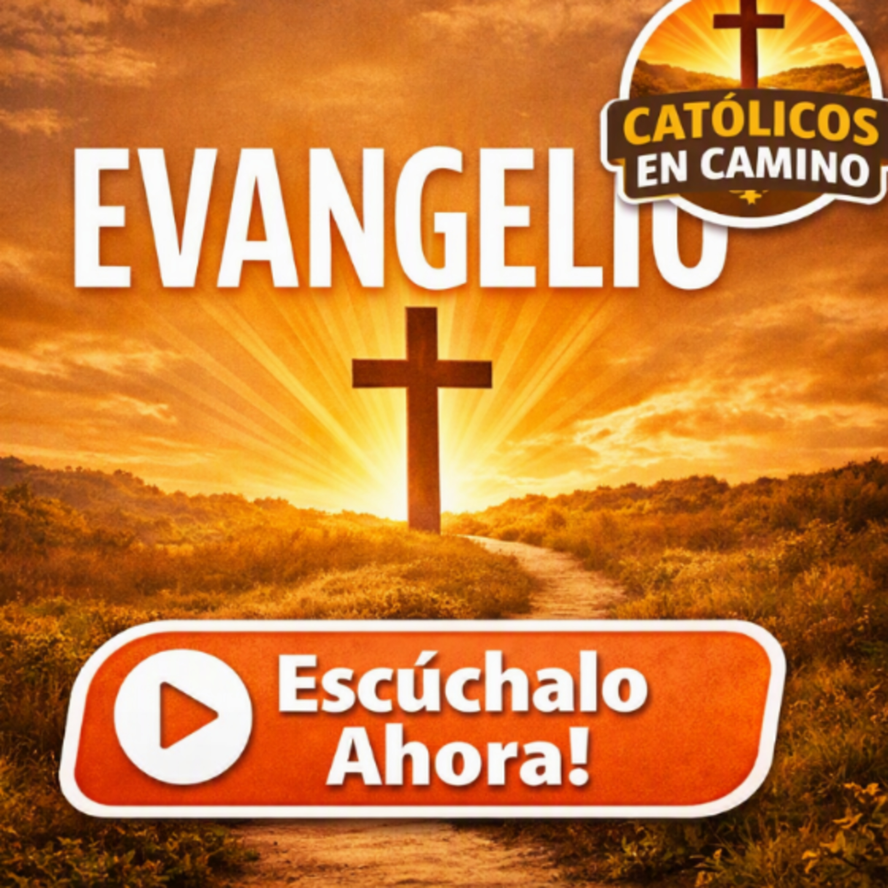 Santo Evangelio Diario 8 de Agosto Monseñor Enrique Diaz Diaz