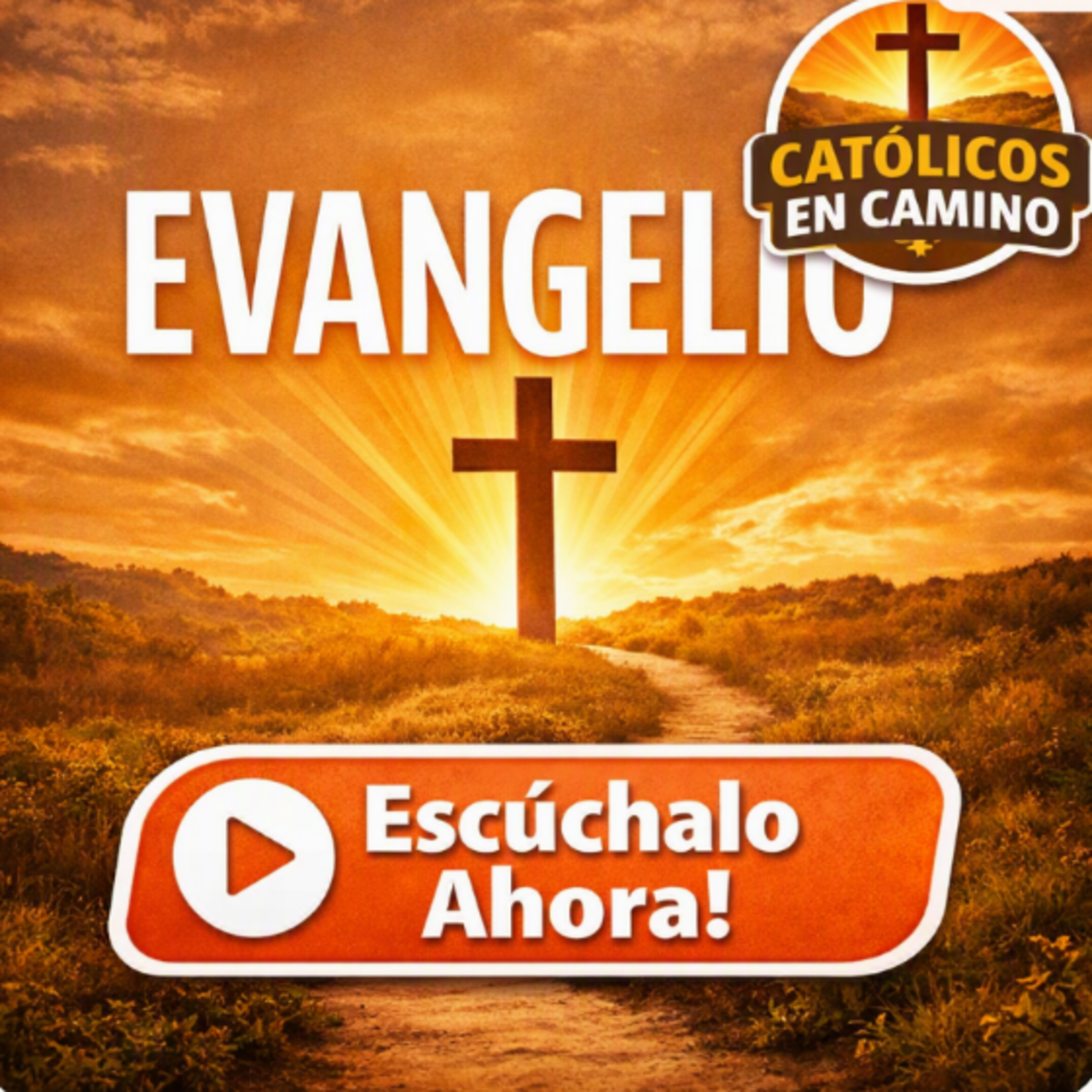Santo Evangelio Diario Domingo XX Ordinario 
Mons Enrique Diaz Diaz