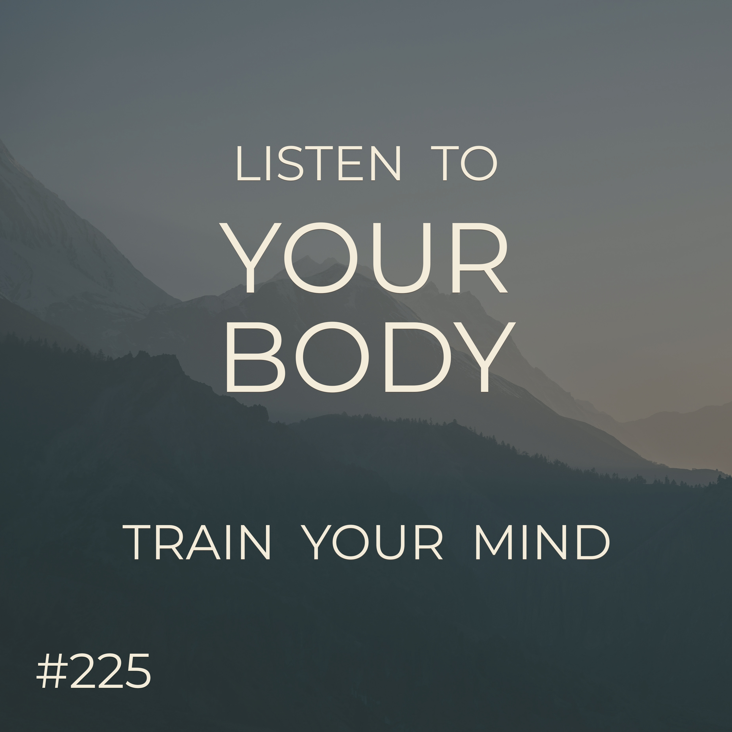 Listening To Your Body  |  Preview For The Theme  |  Seer Sessions #225 episode artwork