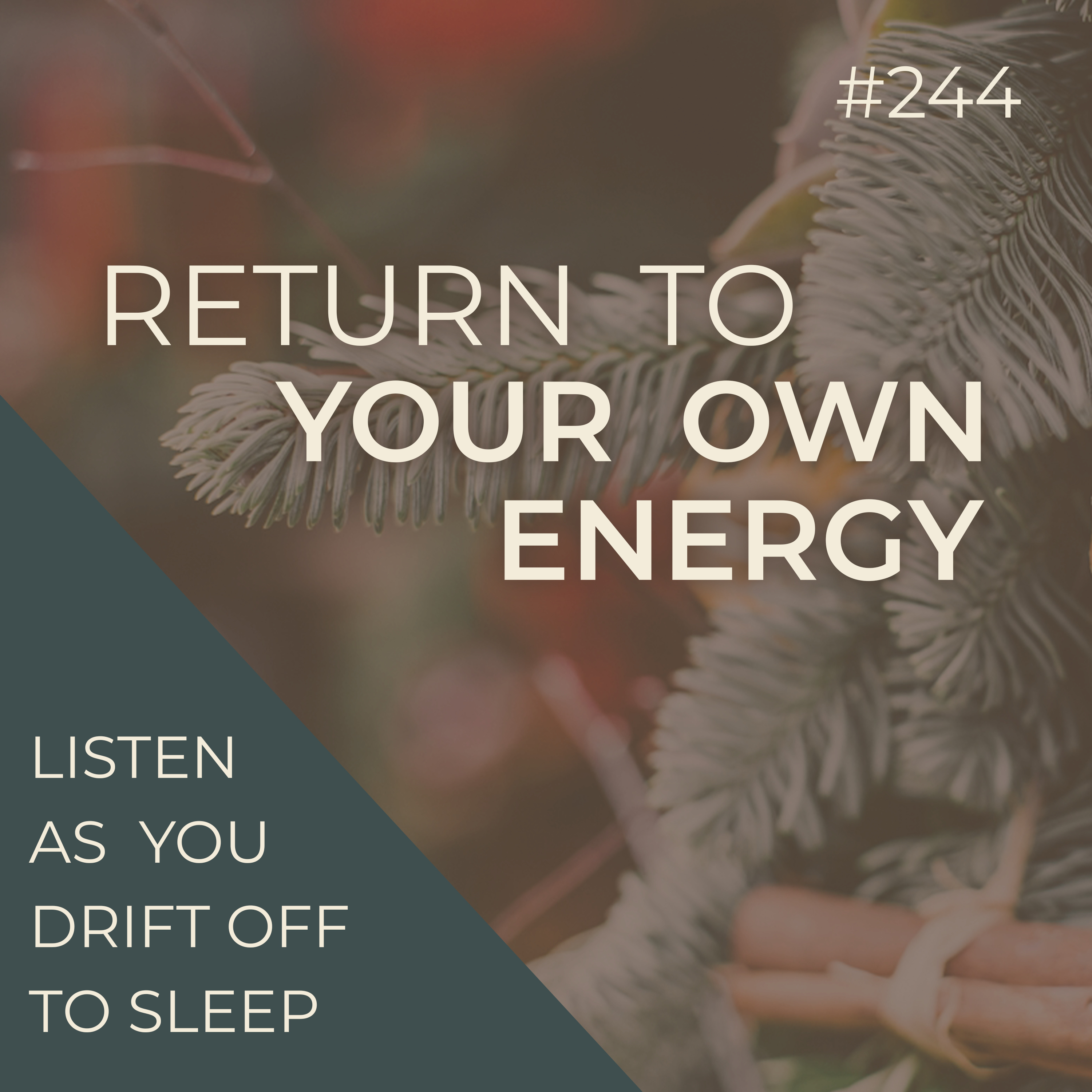 Return to Your Own Energy: A Nightly Hypnotic Reset | Hypnosis | Seer Sessions #244 episode artwork