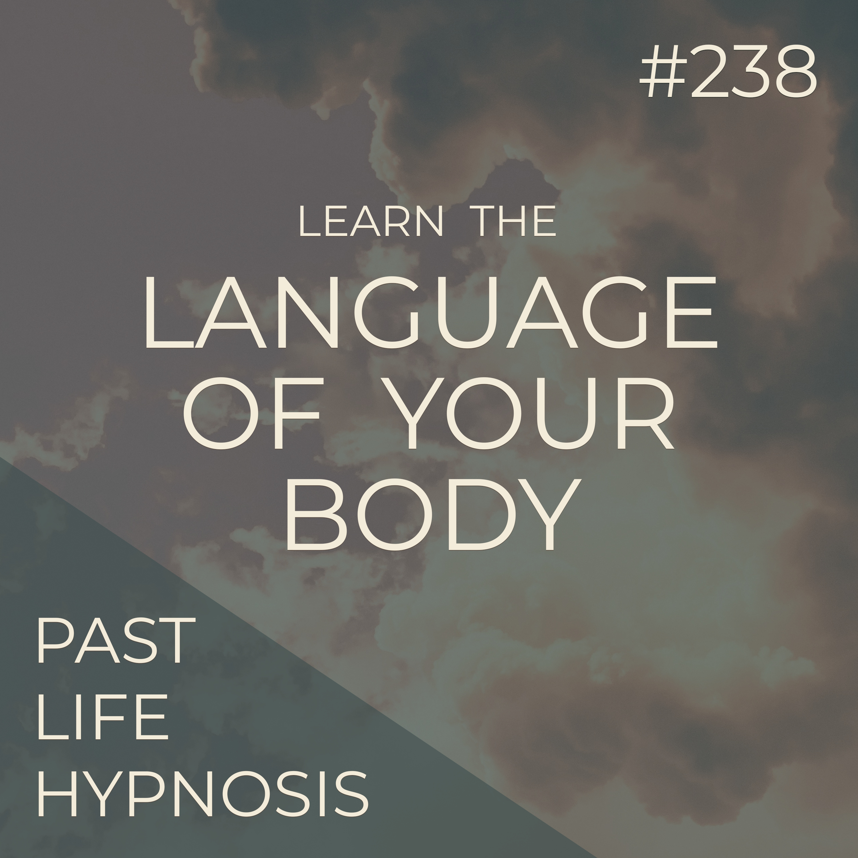 Learning the Language of Your Body | Thru Another Lifetime | Seer Sessions #238 episode artwork