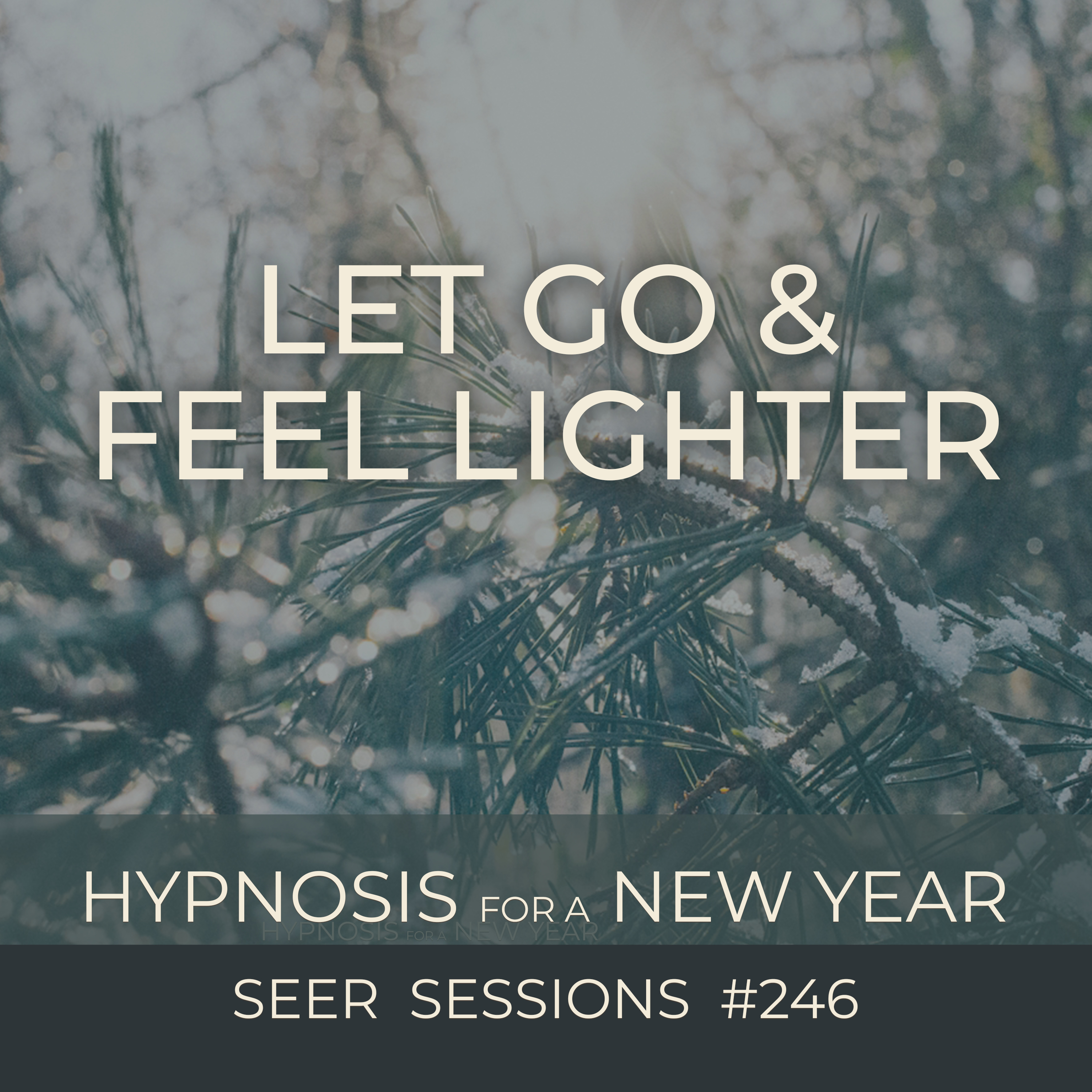 Let Go & Feel Lighter | Hypnosis For Visiting Another Lifetime | Seer Sessions #246 episode artwork