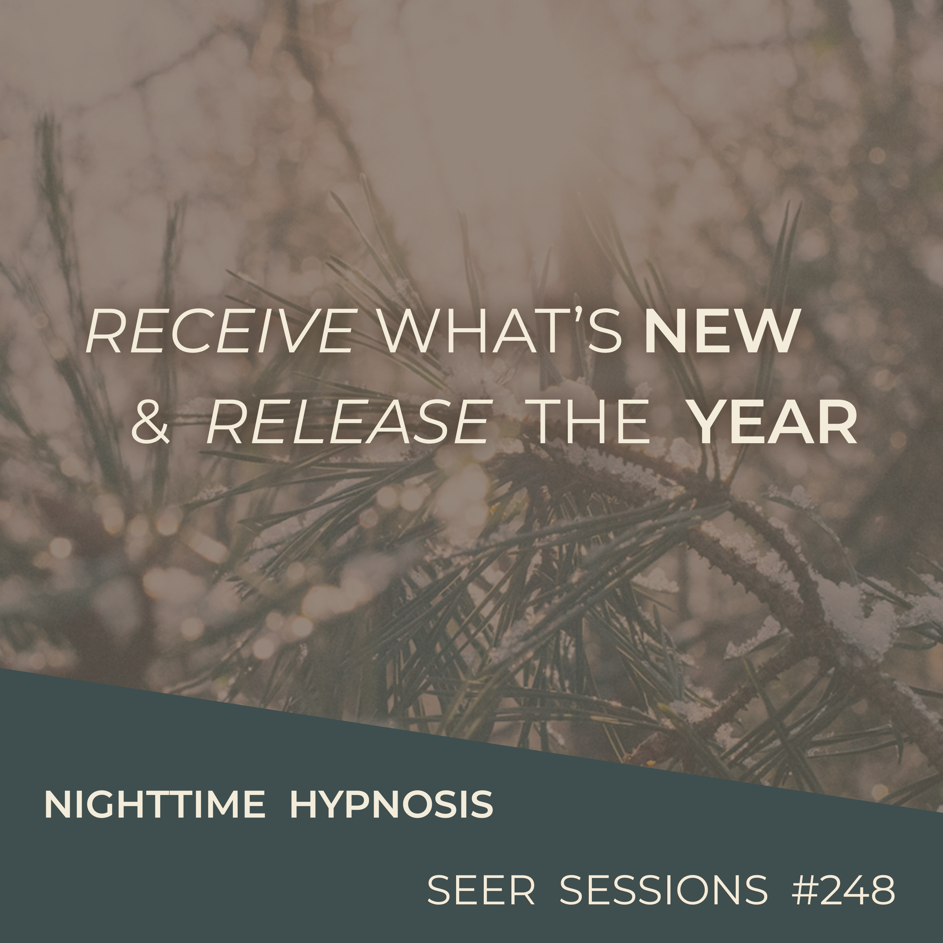 Release the Year & Receive What's New | Take This Hypnotic Journey | Seer Sessions #248 episode artwork