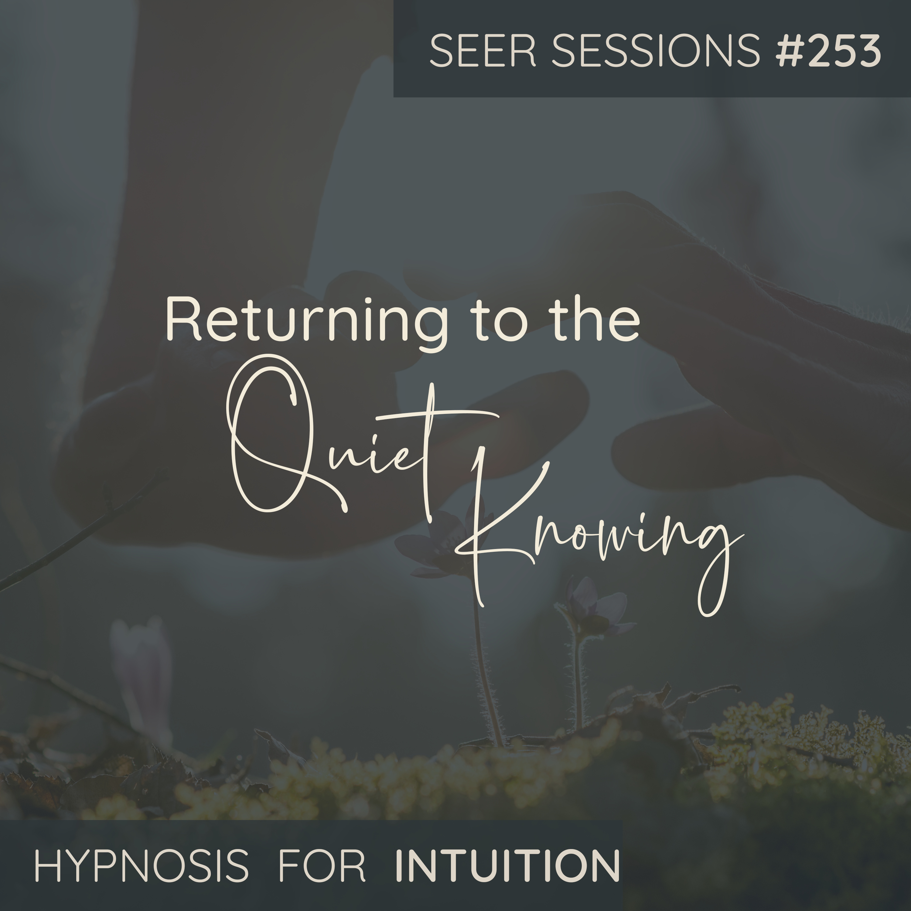 Returning to Your Quiet Knowing | Hypnosis, Intuition & Inner Clarity | SEER SESSIONS #253 episode artwork