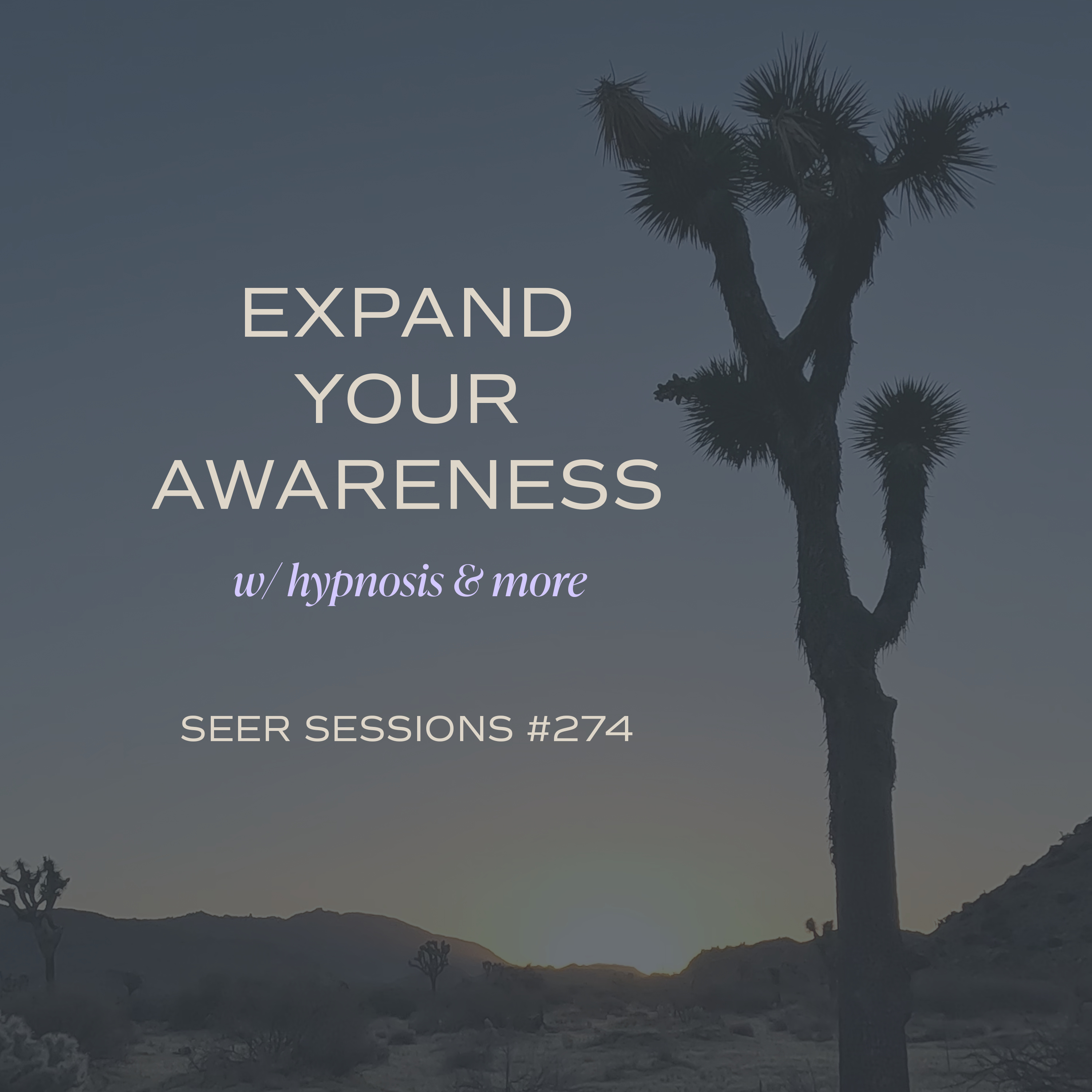 Astral Projection, the Astral Plane & Expanded Awareness | What I've Learned as a Hypnotist | SEER SESSIONS #274 episode artwork