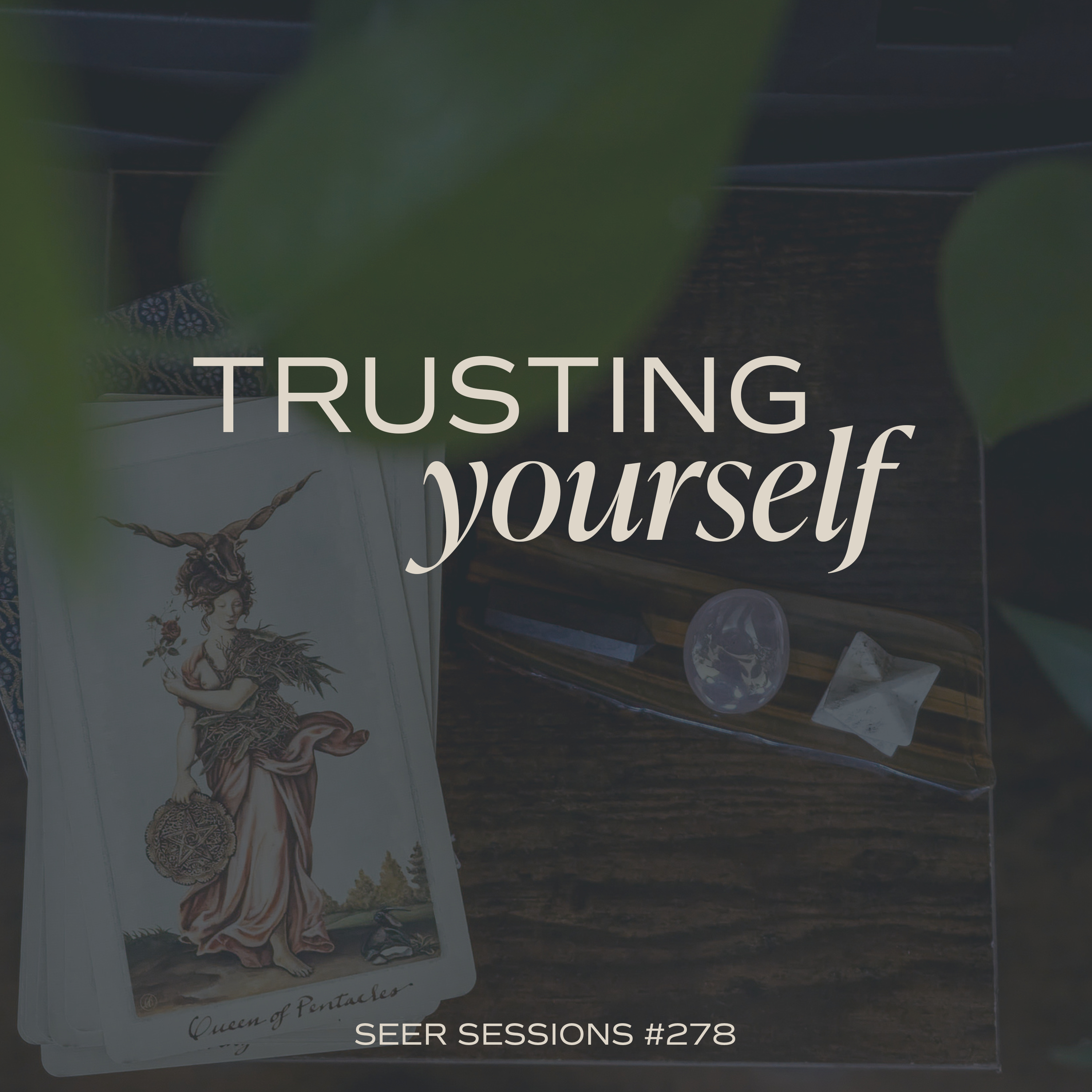 What Expanded Awareness Actually Looks Like in Real Life (11 Years Later) | SEER SESSIONS #278 episode artwork