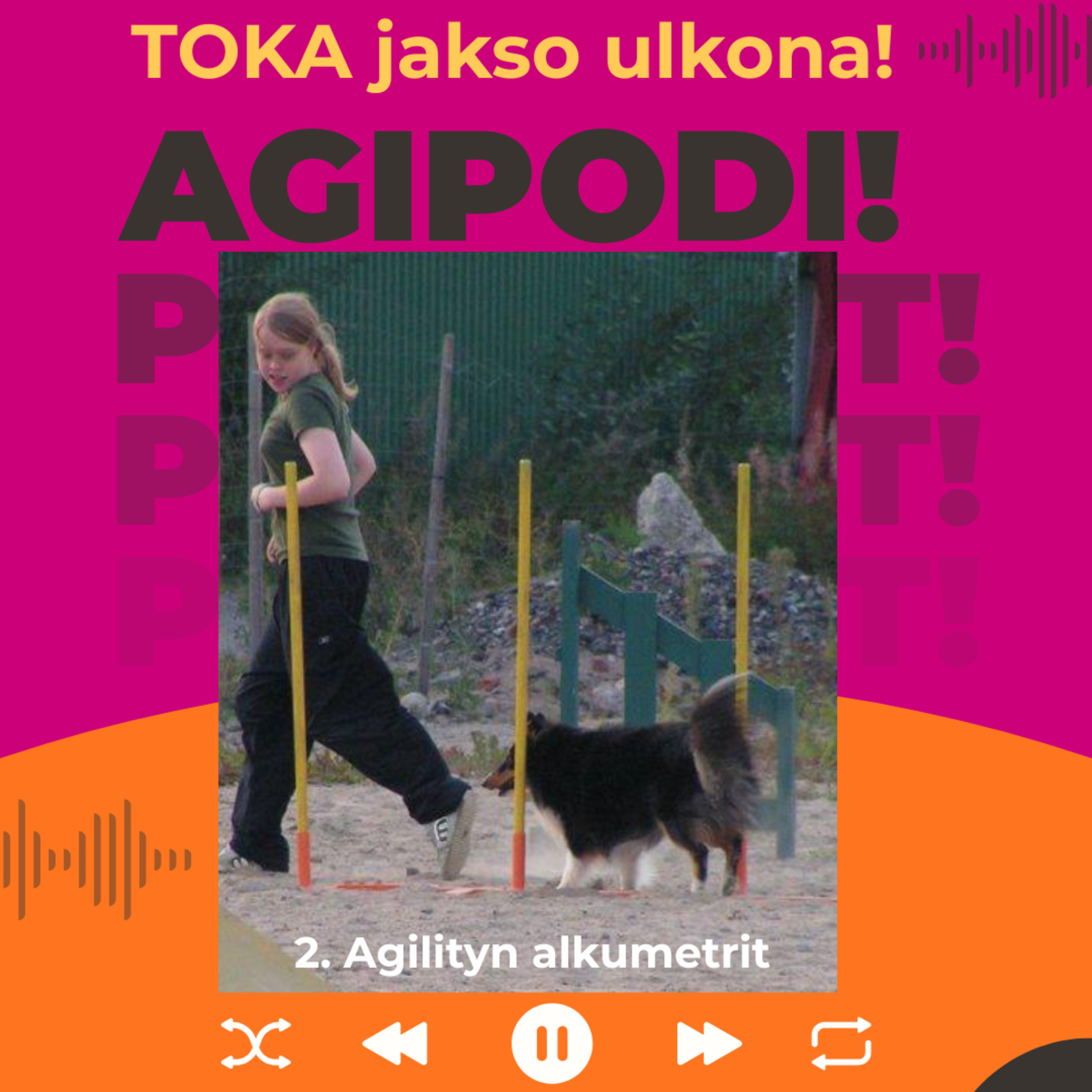 2. Agilityn alkumetrit