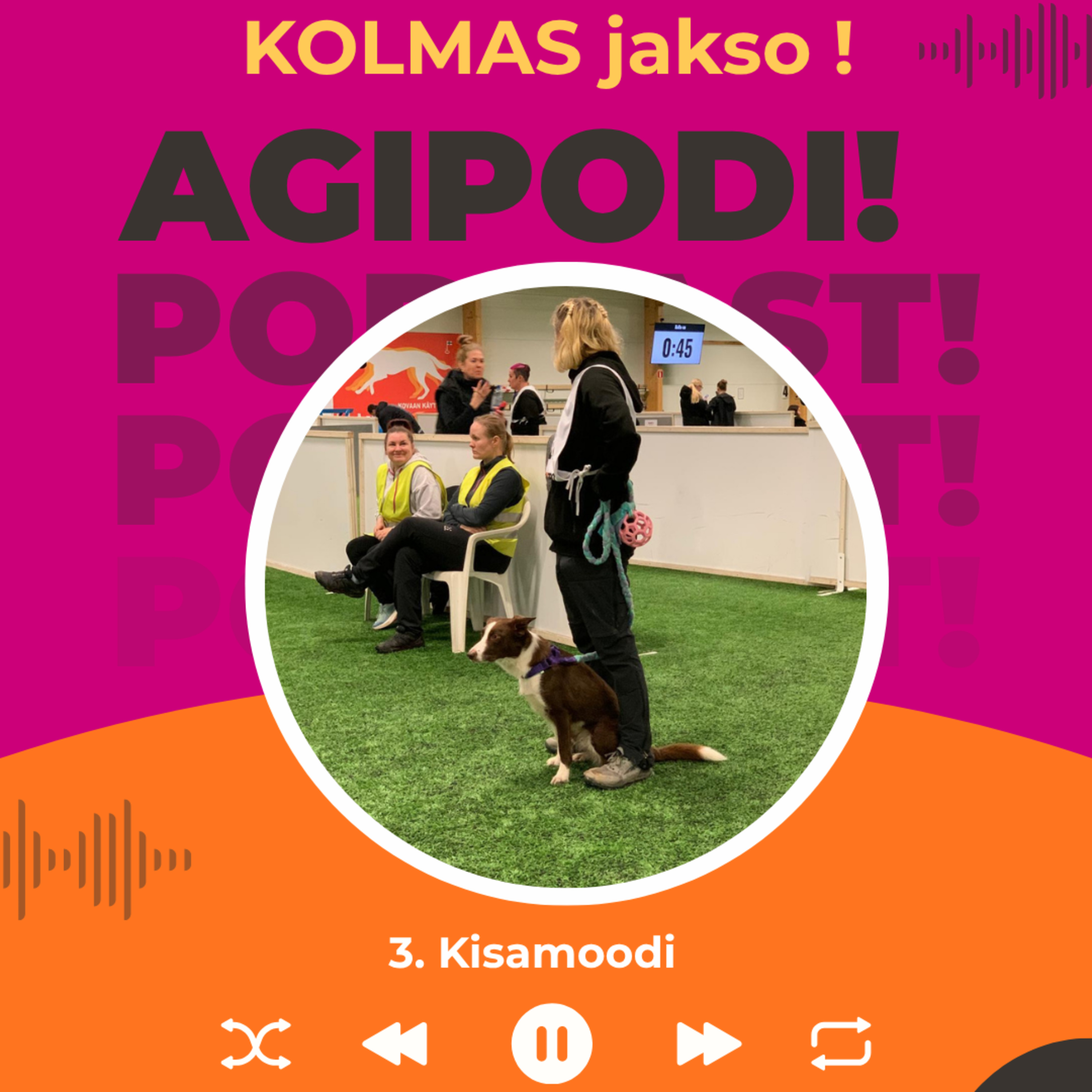 3. Kisamoodi