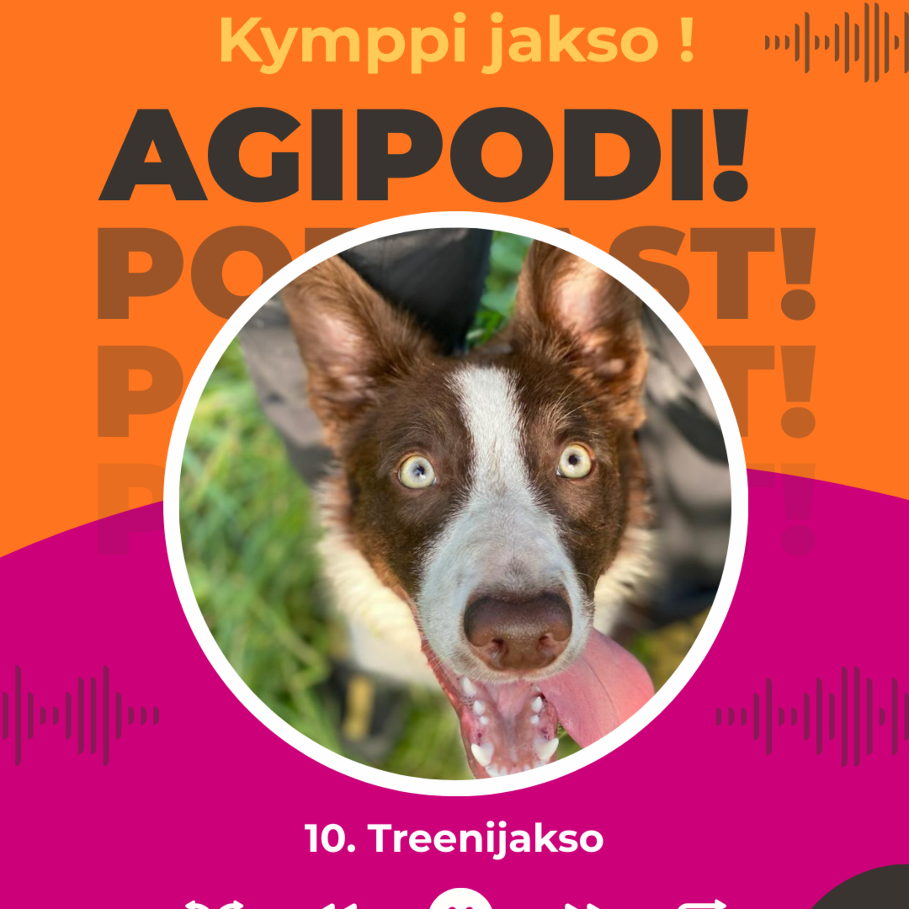 10. Treenijakso