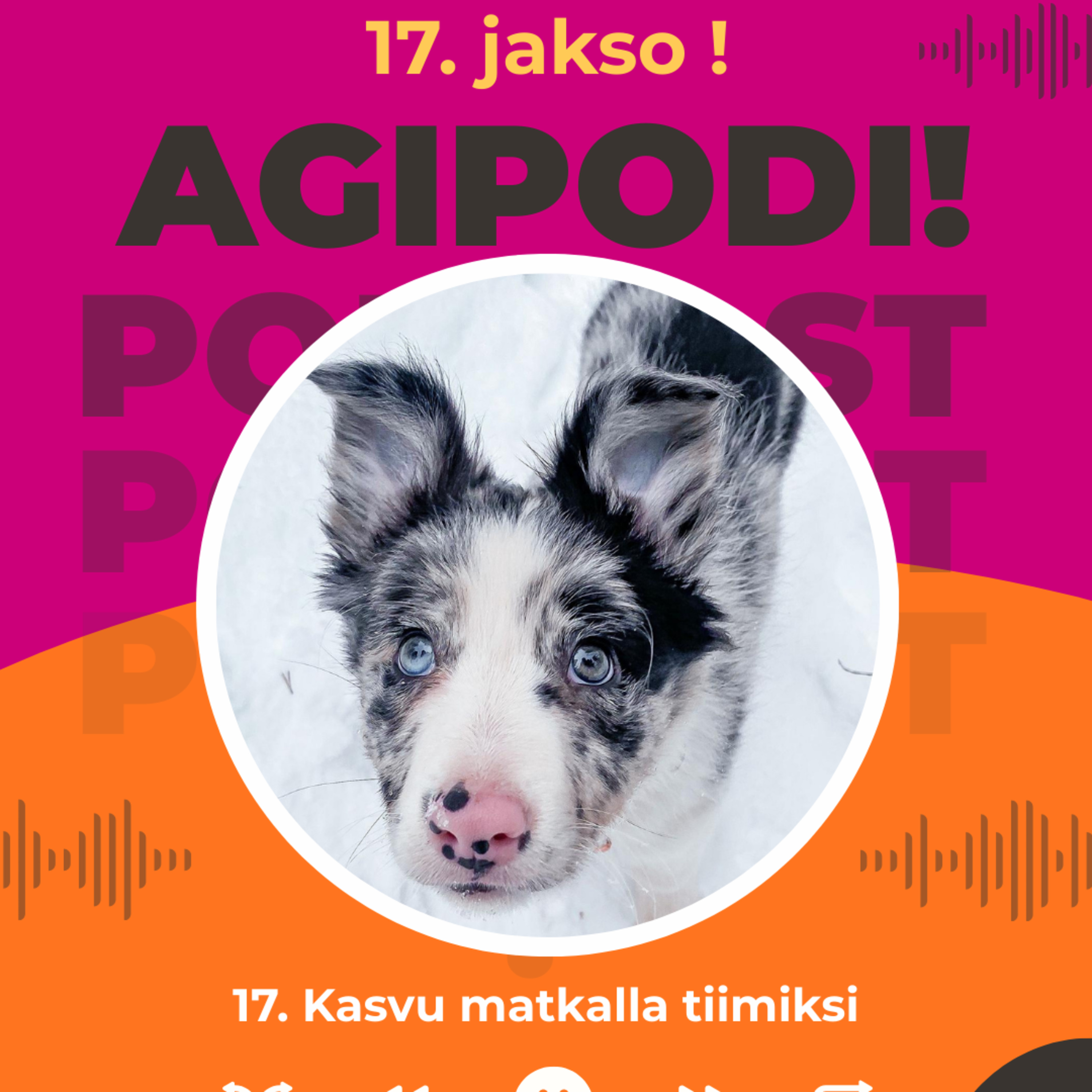 17. Kasvu matkalla tiimiksi
