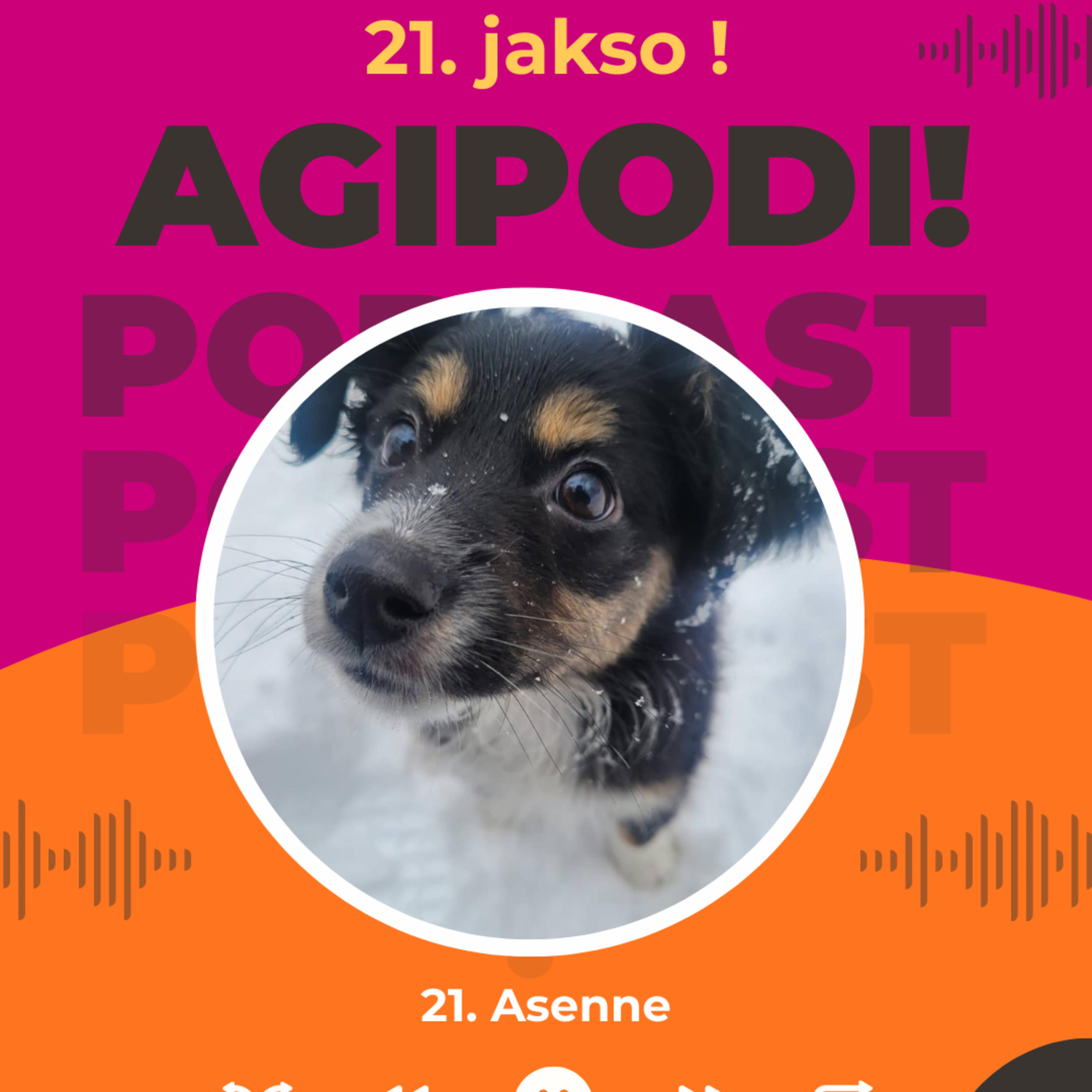 21. Asenne