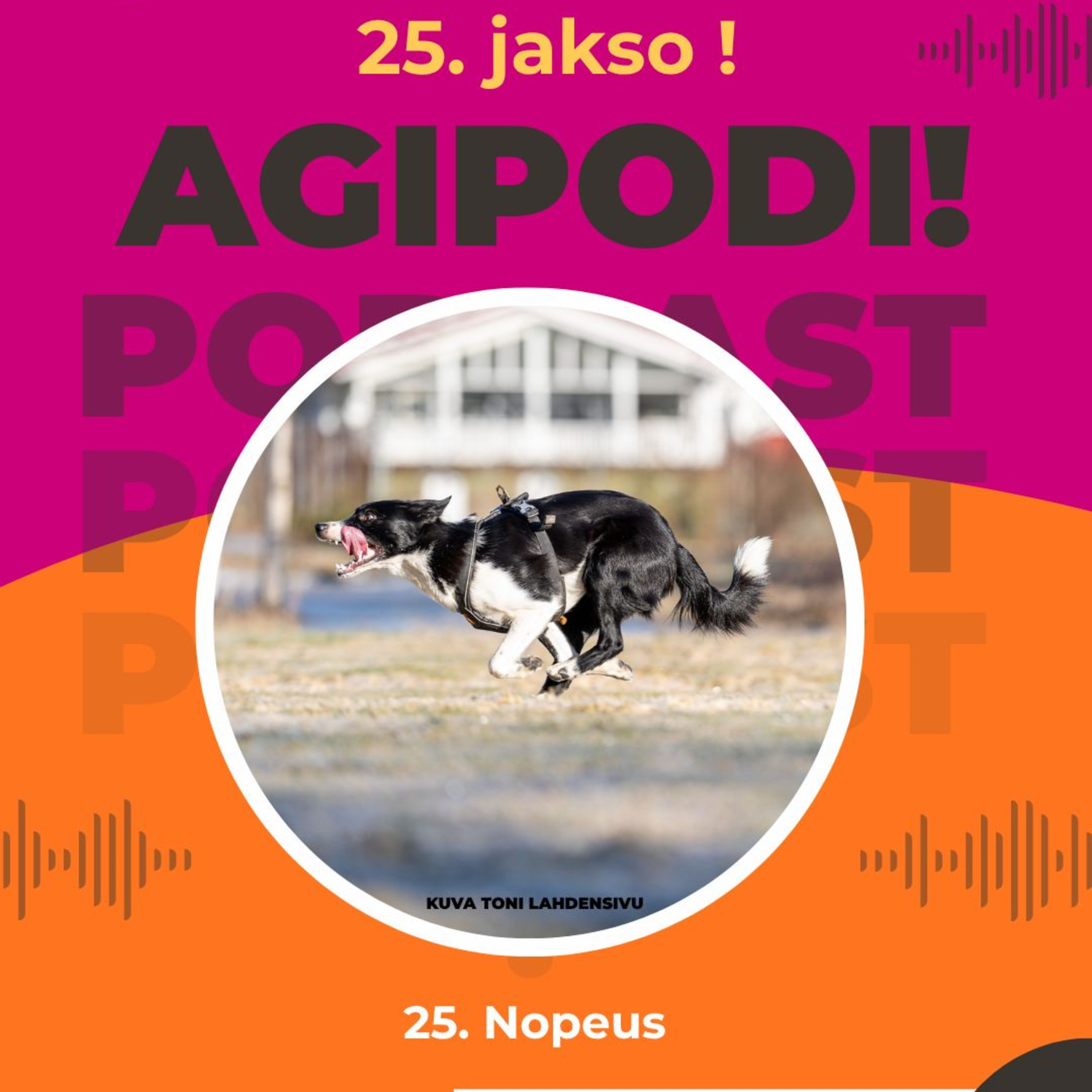 25. Nopeus