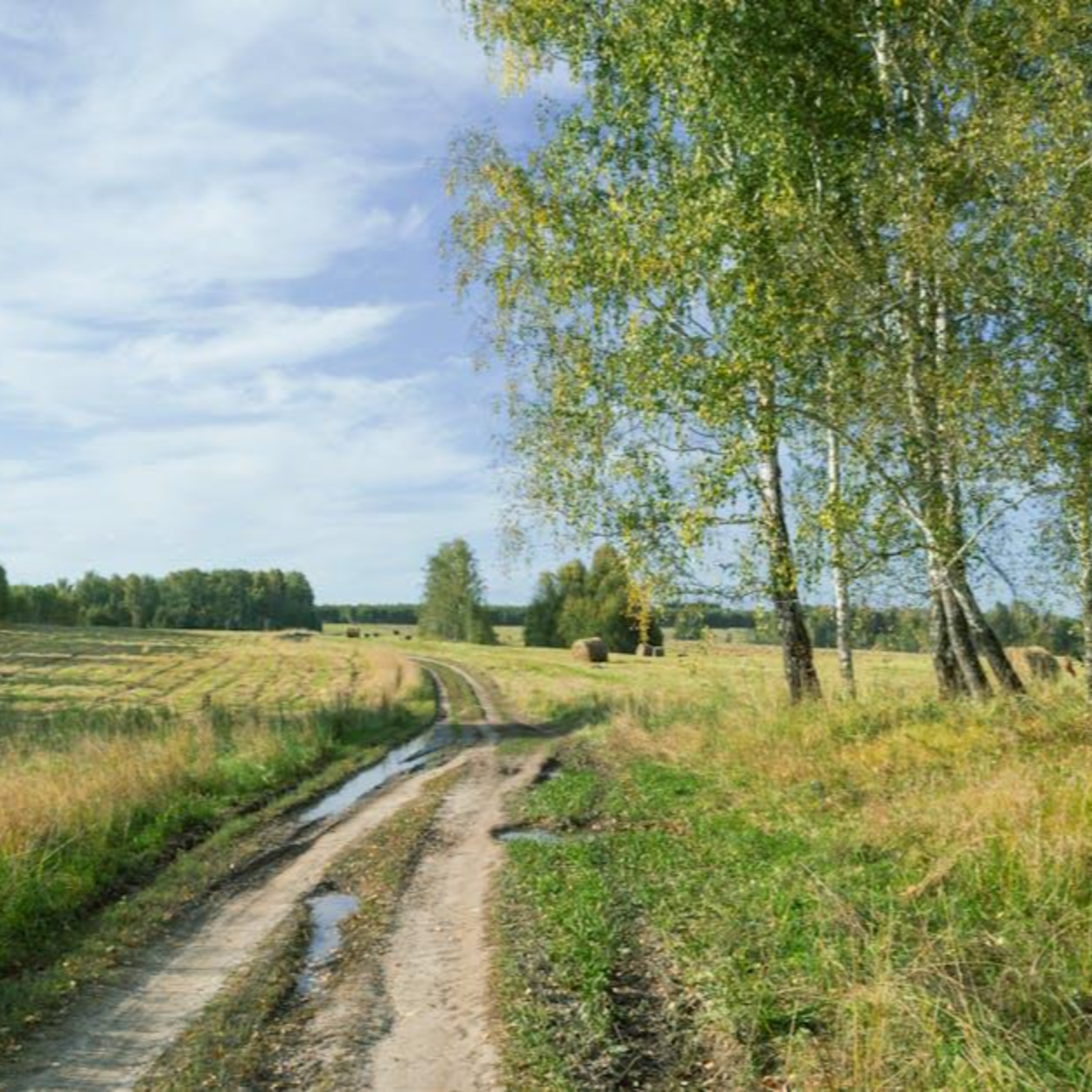 Ingredientsage - Because Ingredients Matter