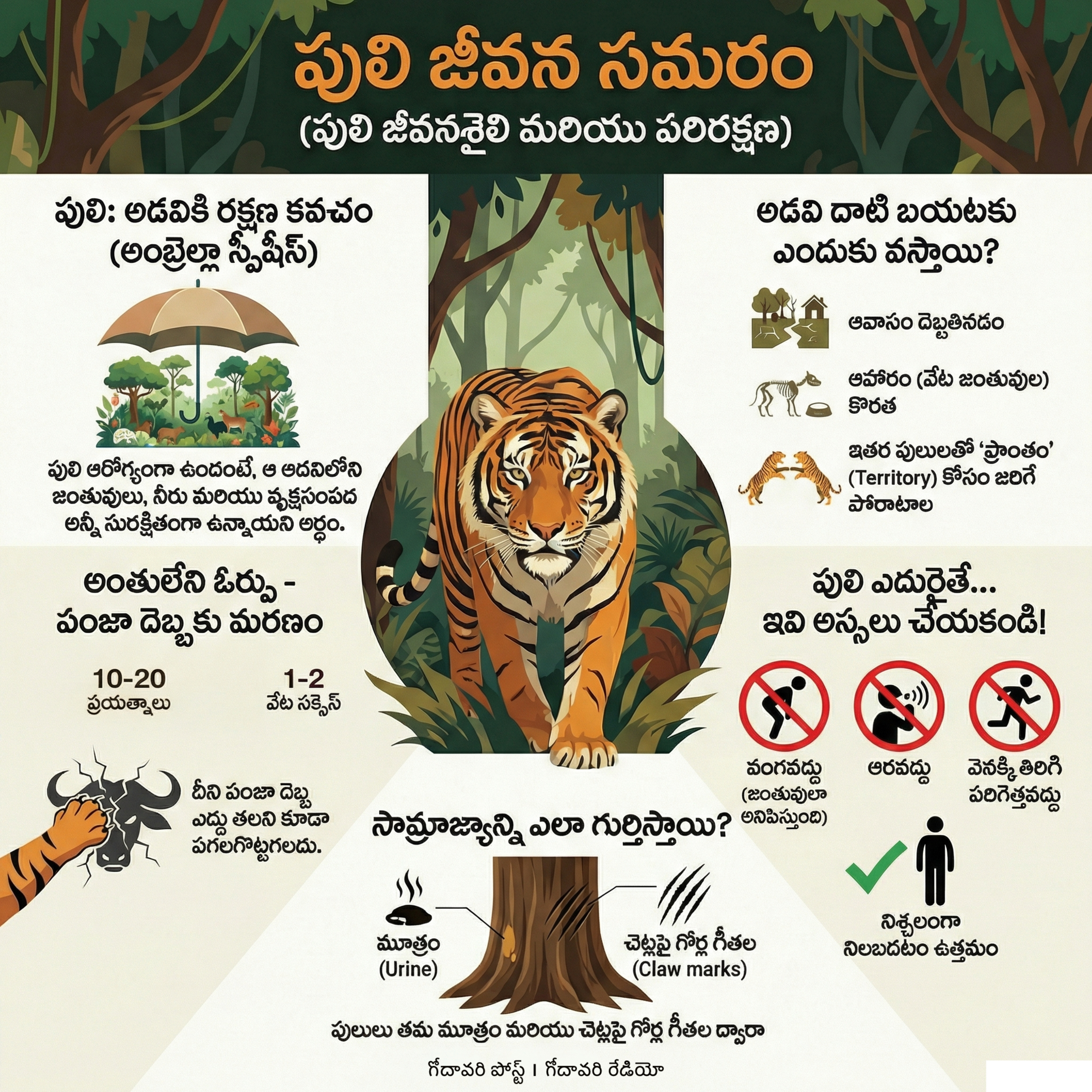 EP 72 పెద్దపులి: పర్యావరణ చక్రంలో అద్భుతమైన శక్తి  episode artwork