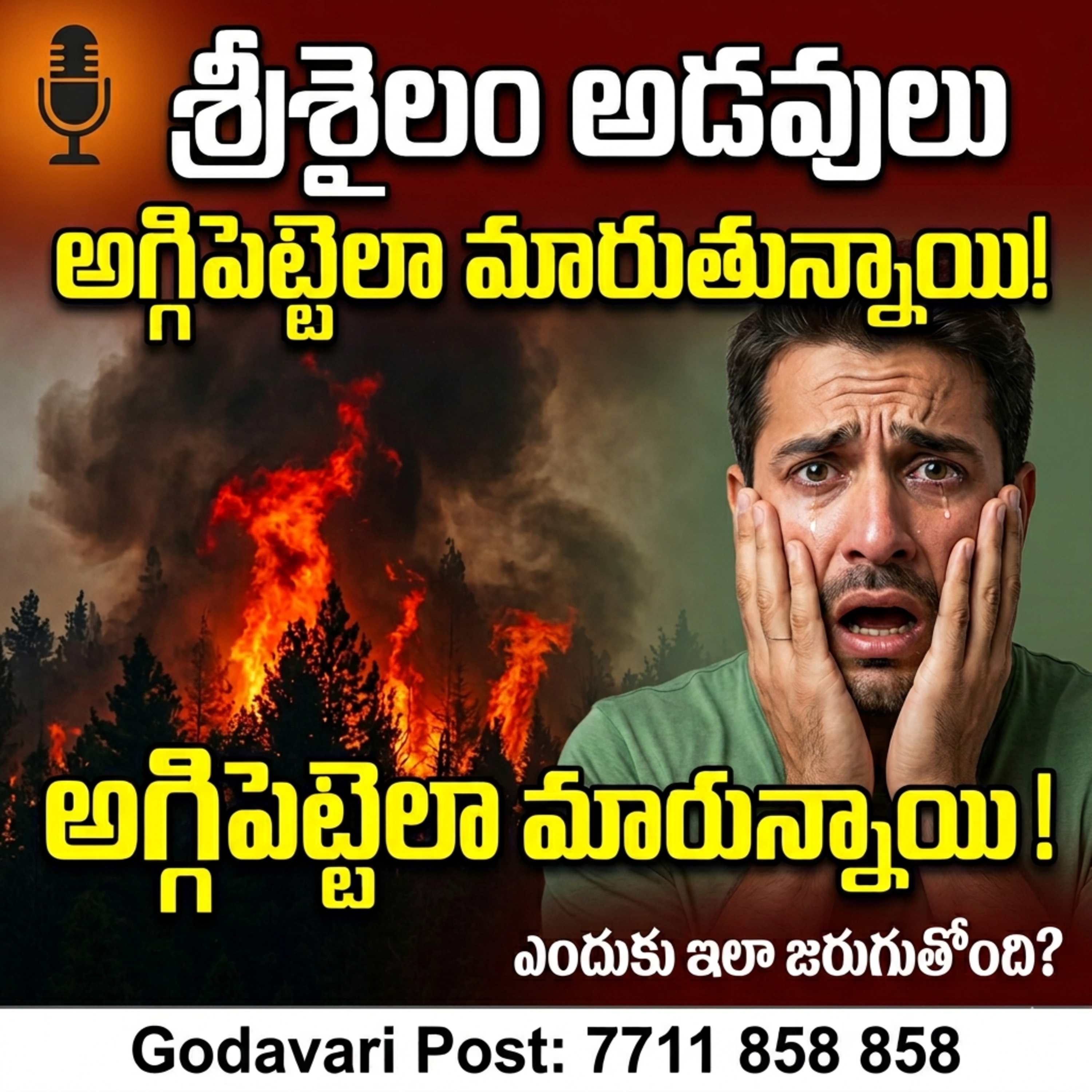 EP 133: అగ్గిపెట్టెలా మారుతున్న శ్రీశైలం నల్లమల అడవులు episode artwork