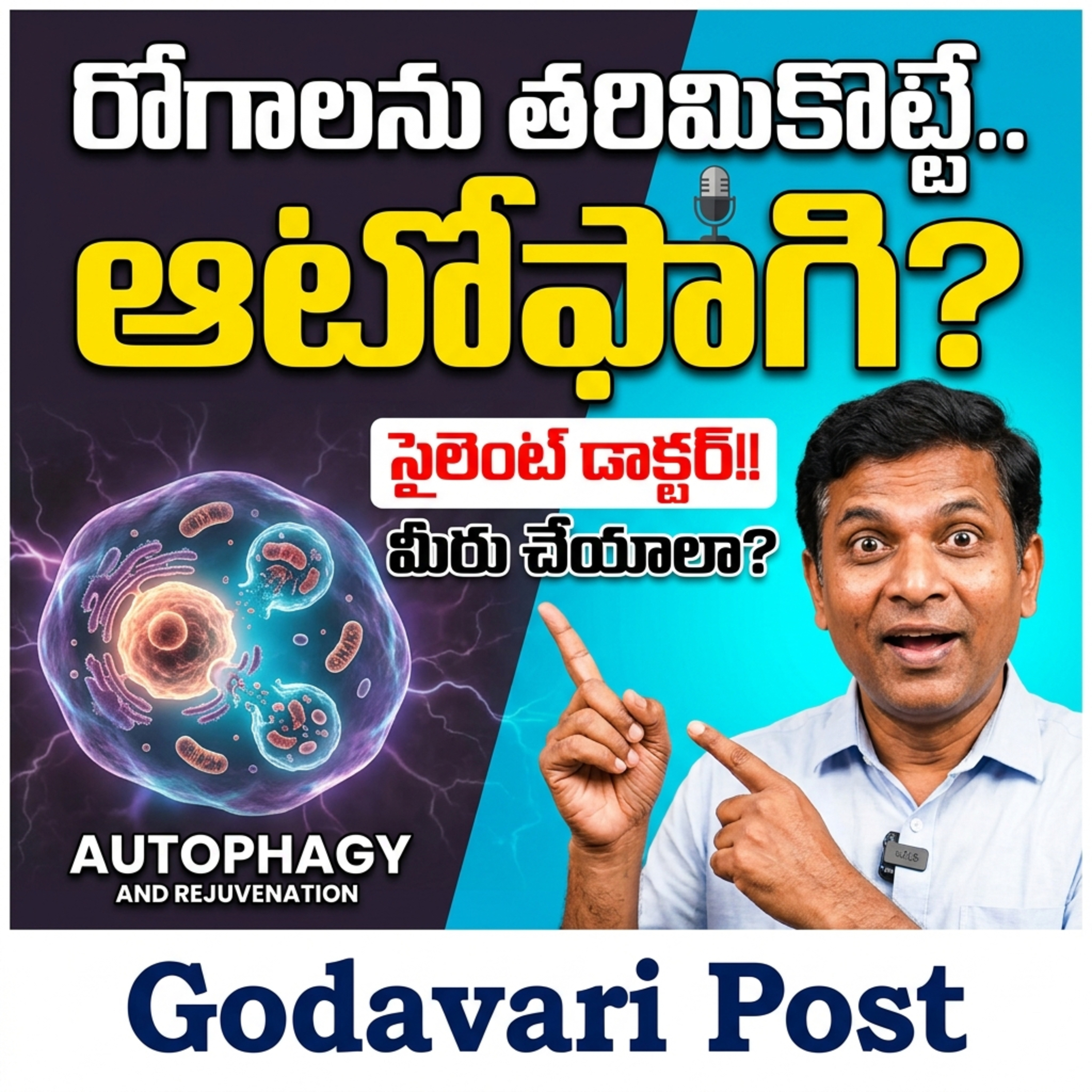 EP 155: రోగాలను తరిమికొట్టే సైలెంట్ డాక్టర్ 'ఆటోఫాగి' మనలోనే వున్నాడు  episode artwork