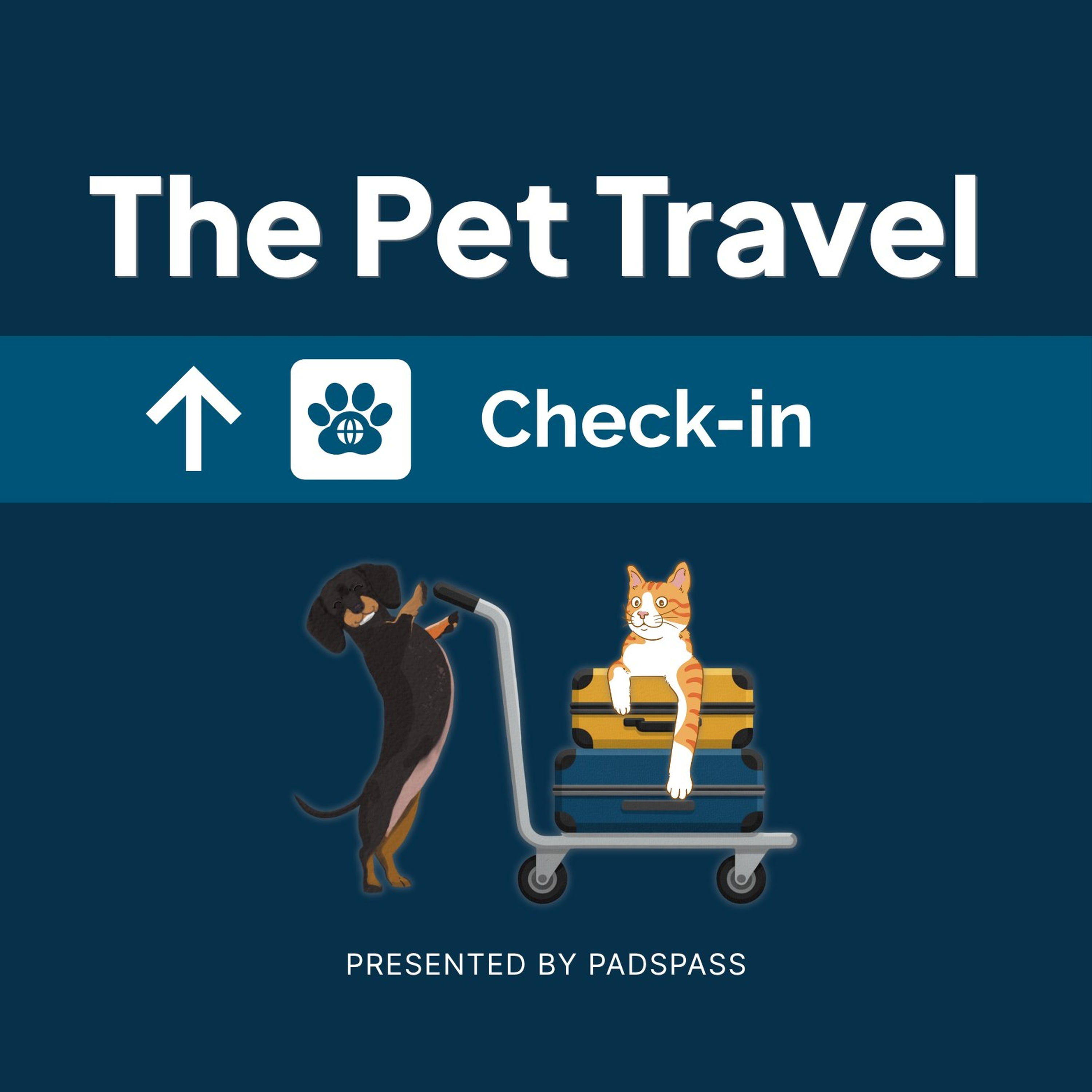 Veterinarians Bear the Brunt of Broken Pet Travel Systems episode artwork