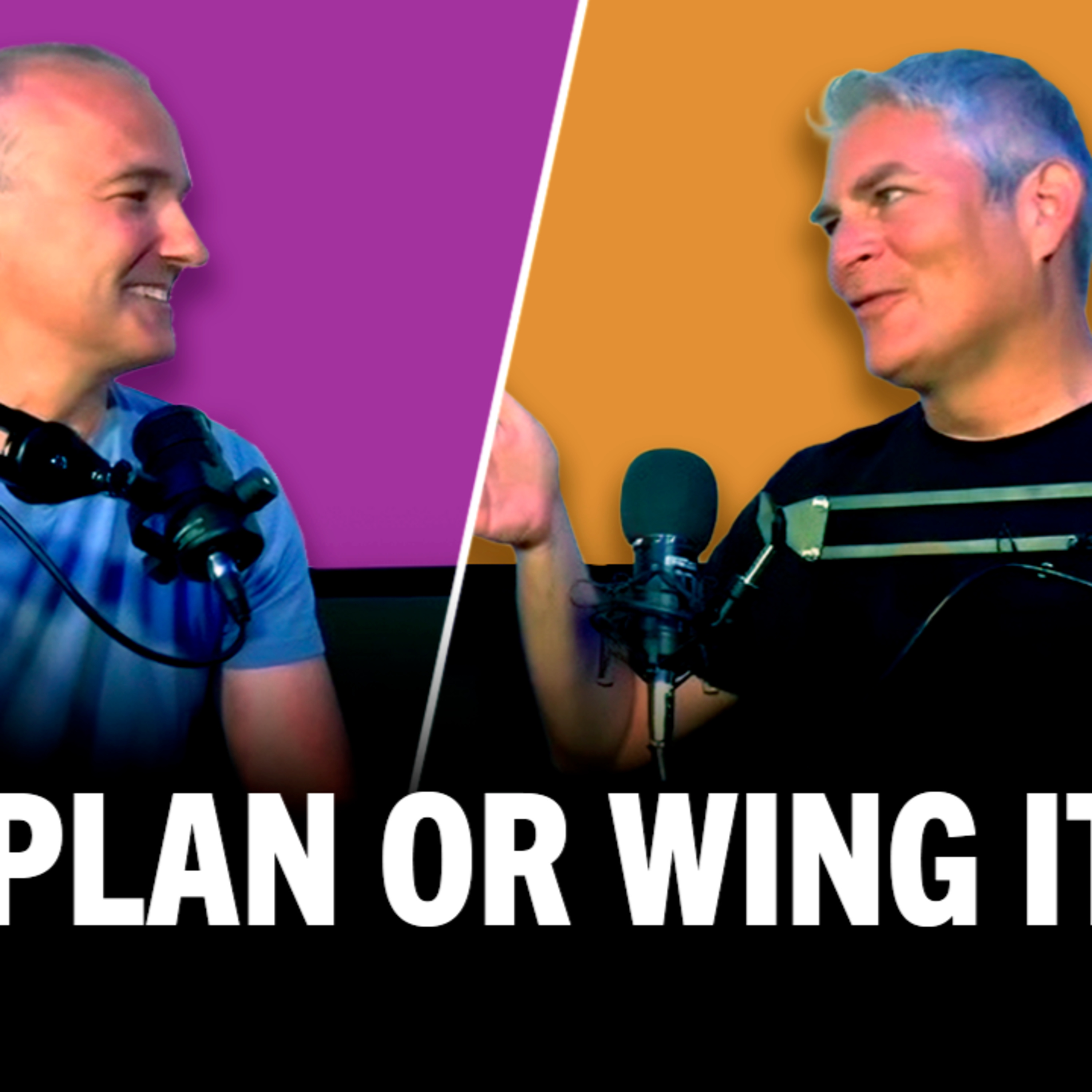 Plan It Or Wing It? episode artwork