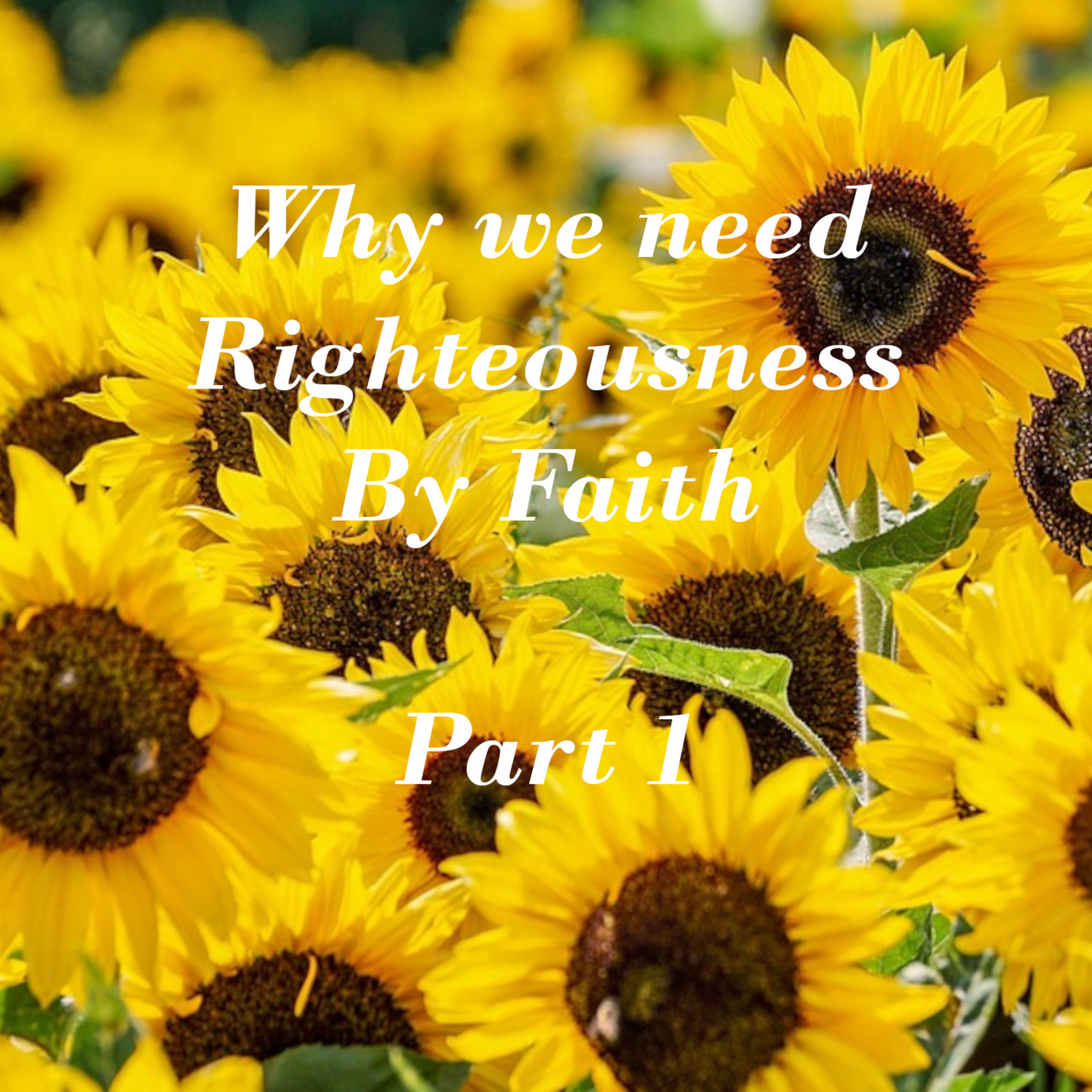 Why We Need Righteousness by Faith - Part 1 (011) episode artwork