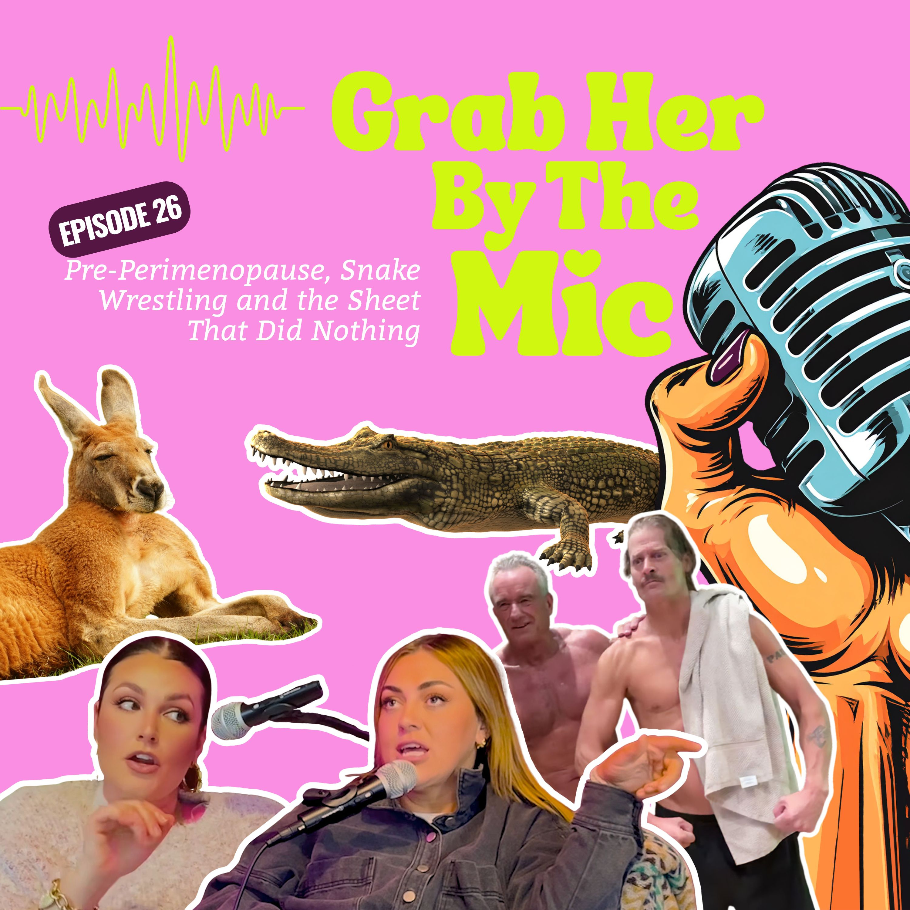 Pre-Perimenopause, Snake Wrestling and the Sheet That Did Nothing [Episode 26] episode artwork