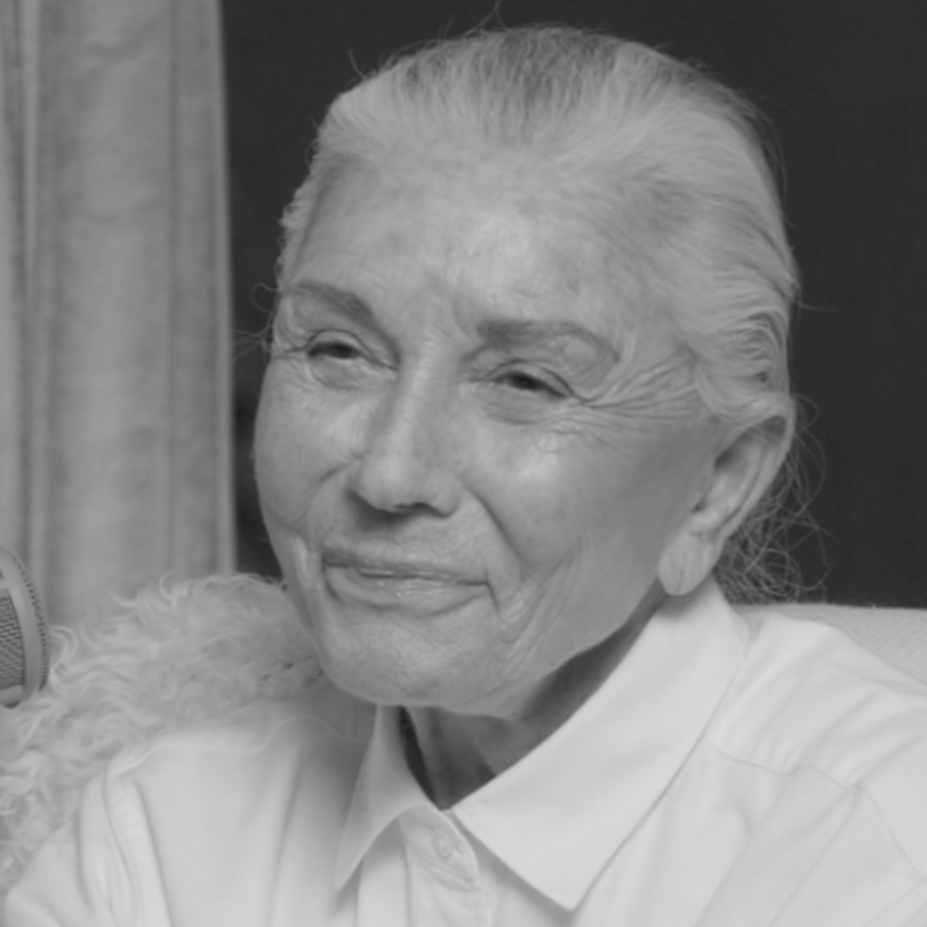 Vivre l'amour, même dans la perte - Perla Servan-Schreiber - Dialogues #241 artwork