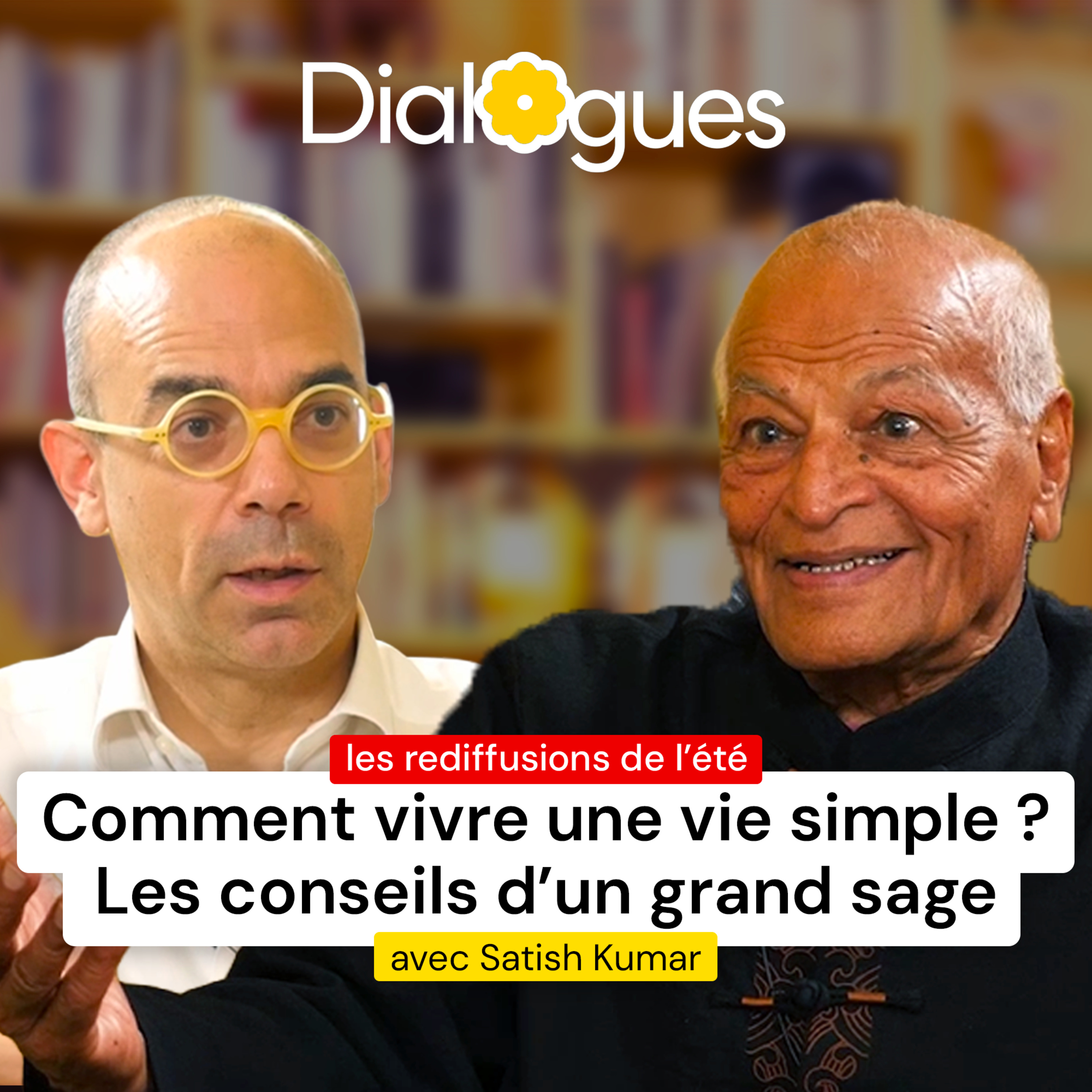 J'interroge l'un des derniers grands sages vivants - Satish Kumar - Dialogue #42 (rediffusion) artwork