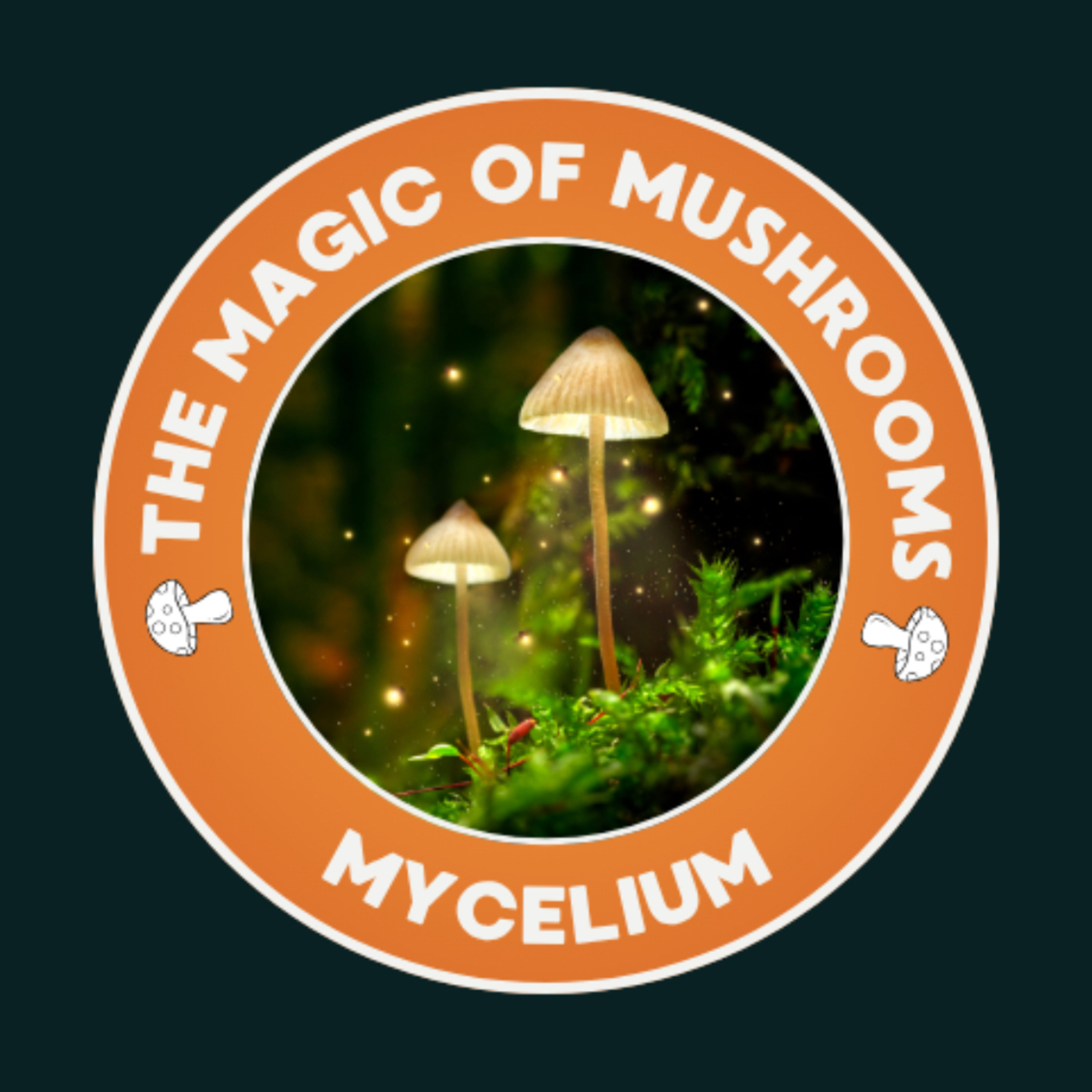 The Magic of Mushrooms episode artwork