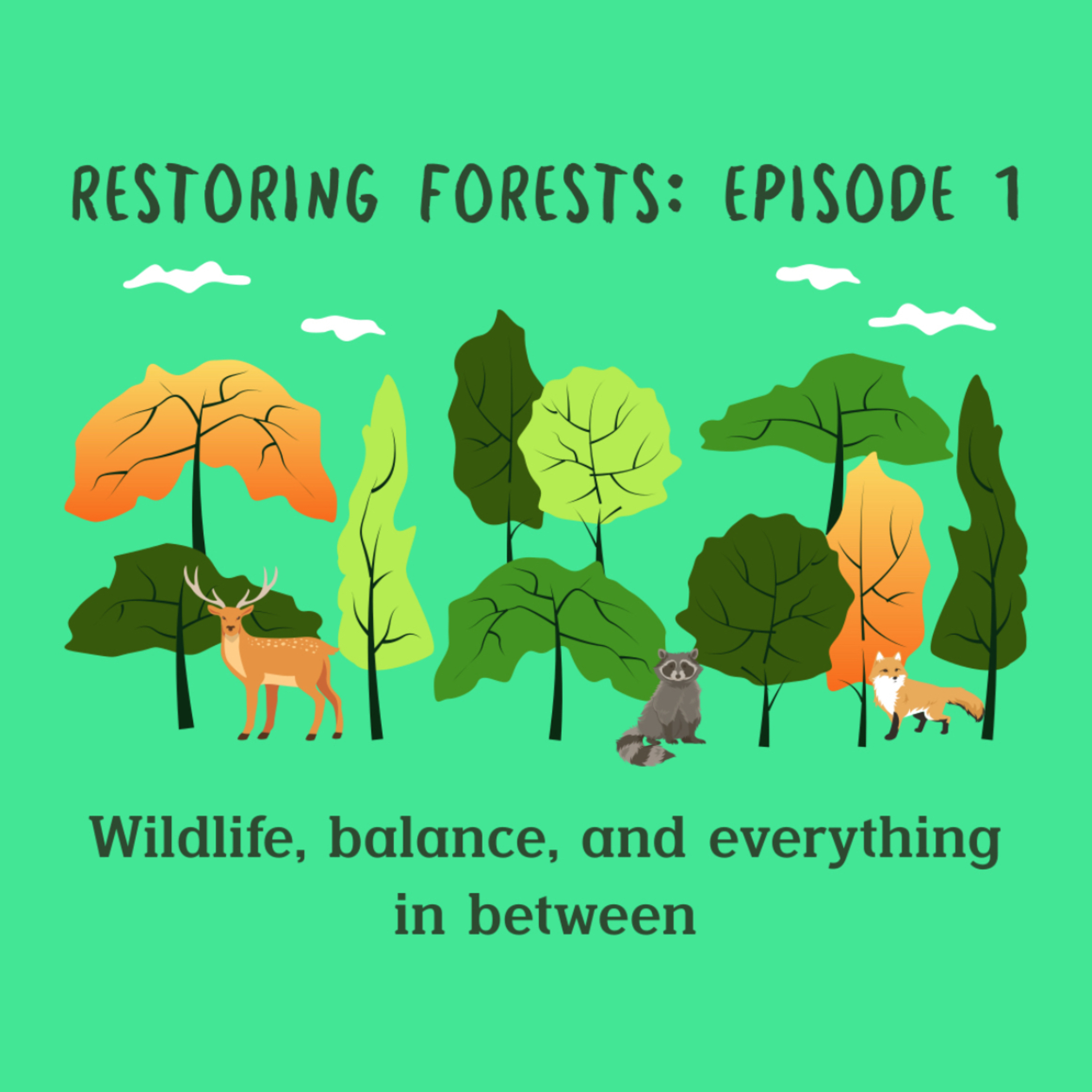 Restoring Forests Ep 1: Wildlife, Balance , and everything in between episode artwork