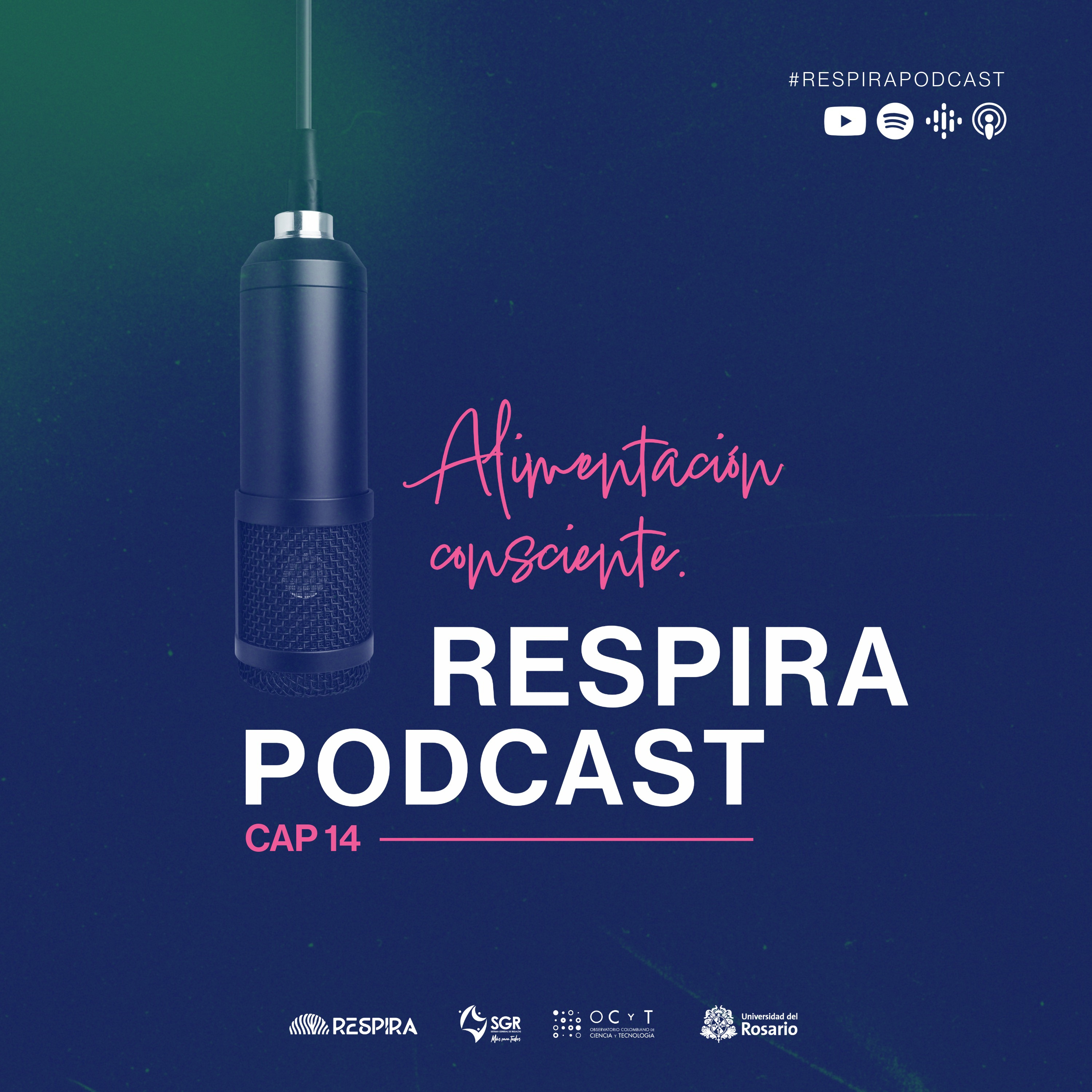 Alimentación Saludable episode artwork