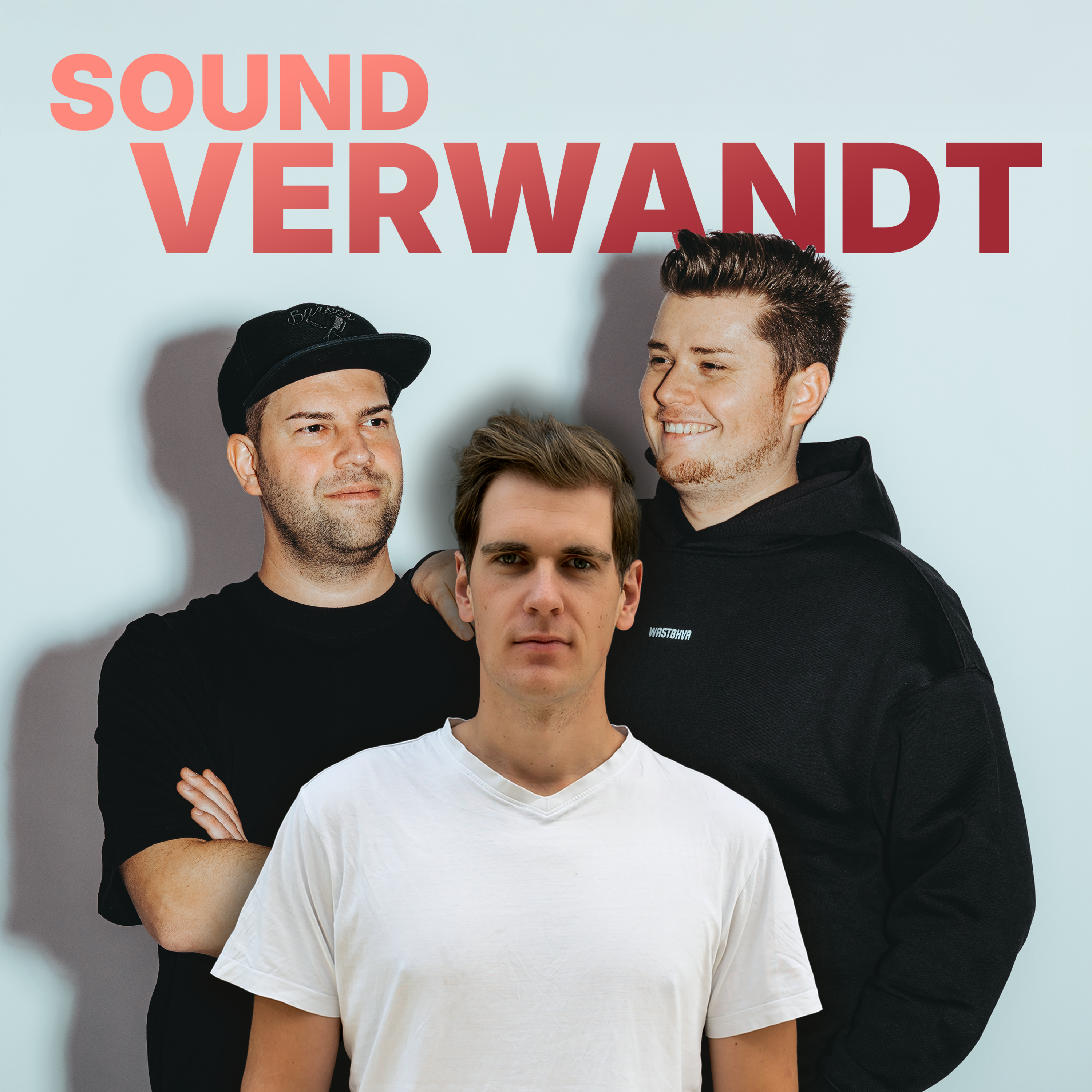 #6 Hinter den Kulissen eines Festivals (mit Fabian Schickedanz) episode artwork
