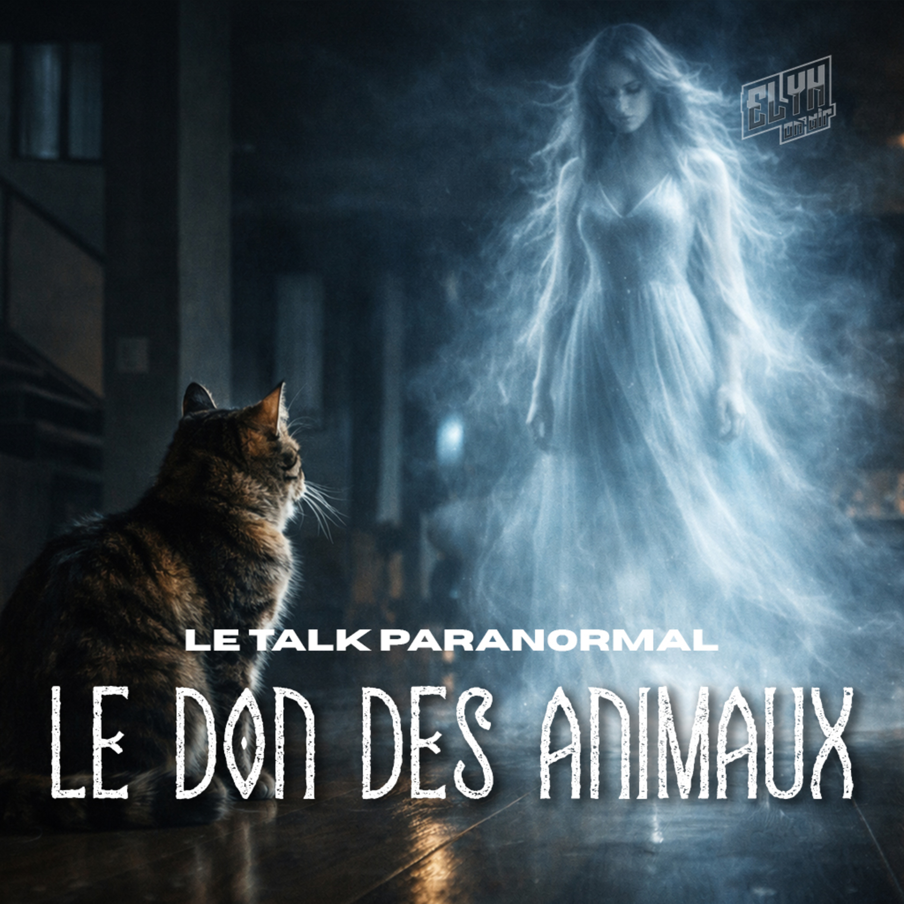 Elyhonair - Histoires & Recherches