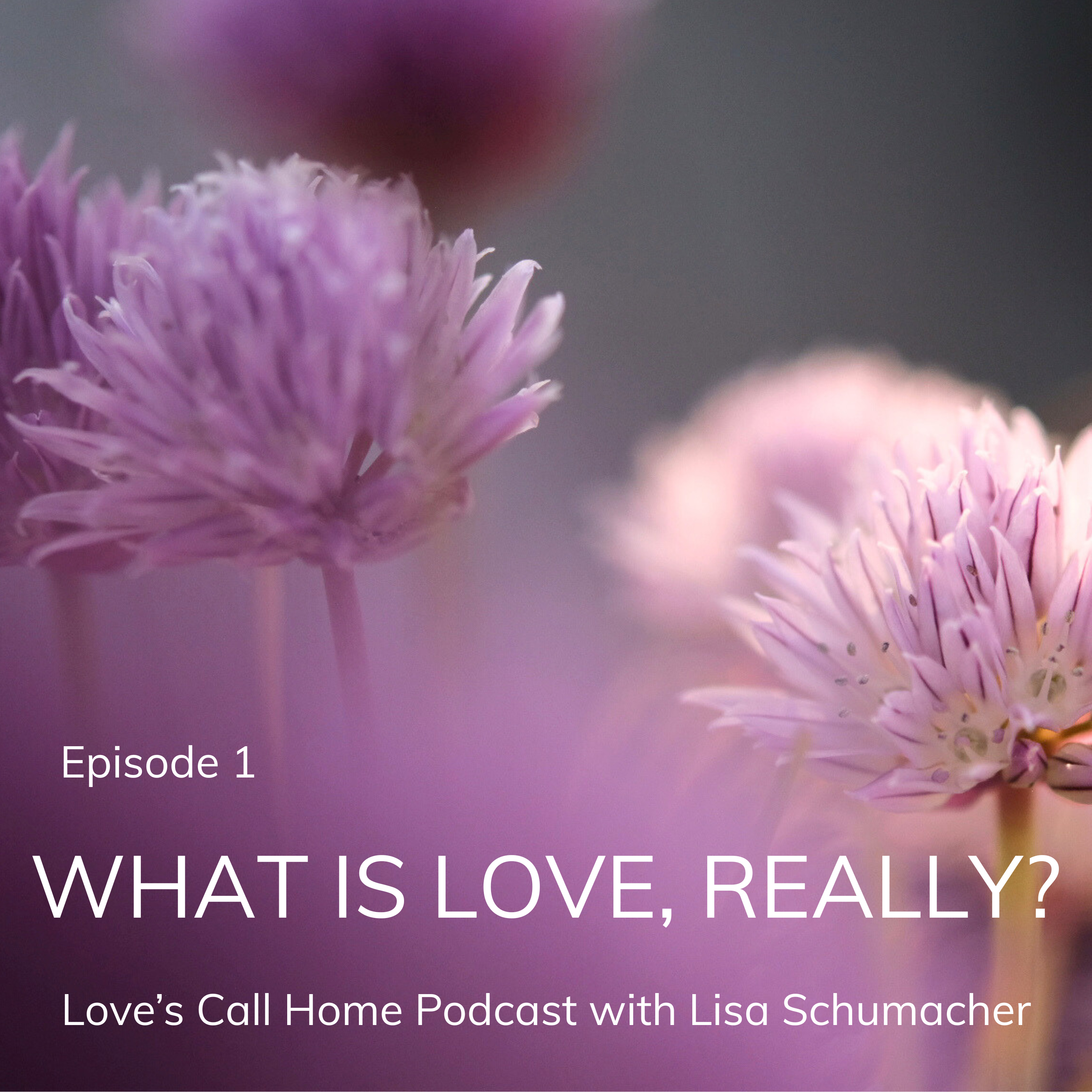 What Is Love, Really? episode artwork
