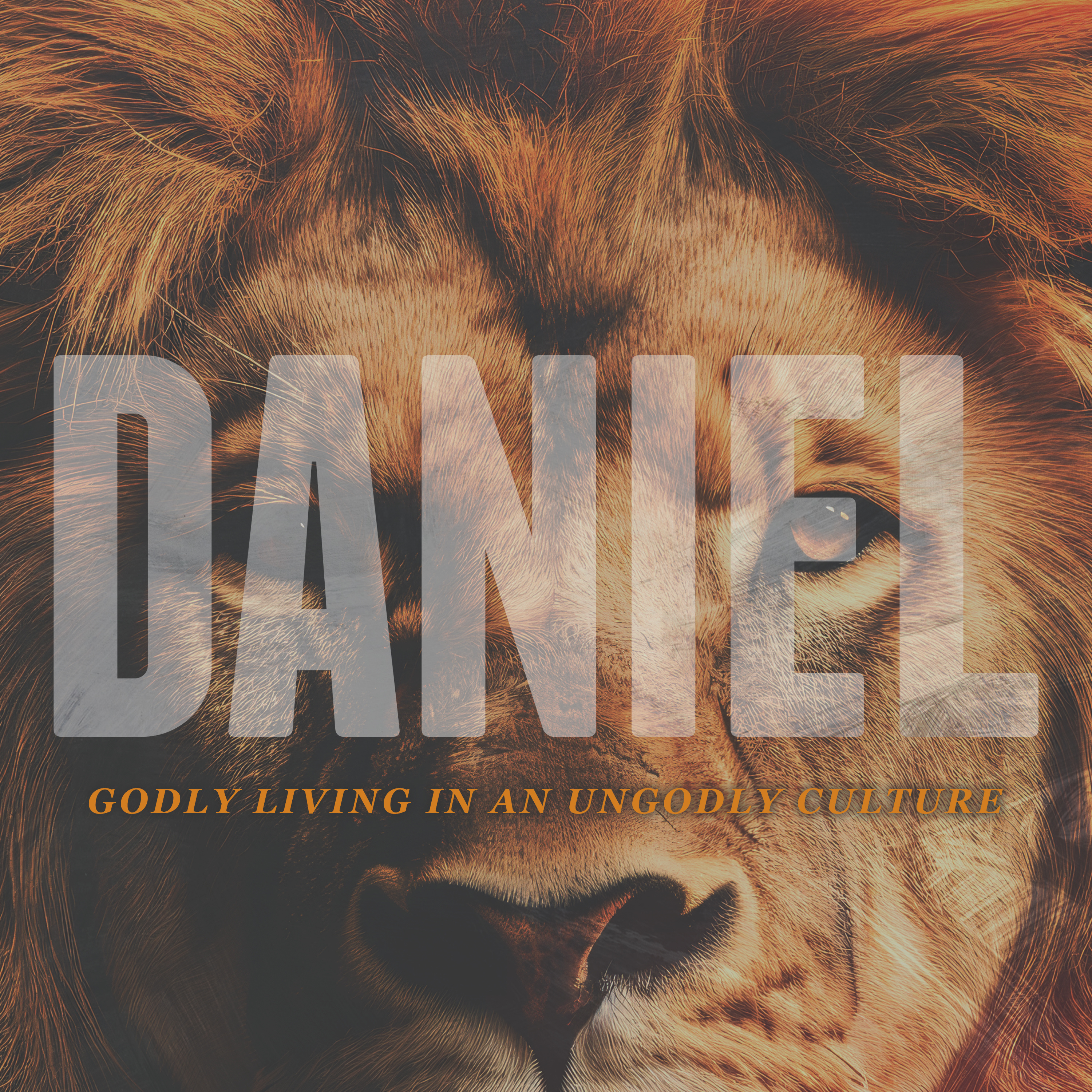 Daniel - Chapter 7 episode artwork