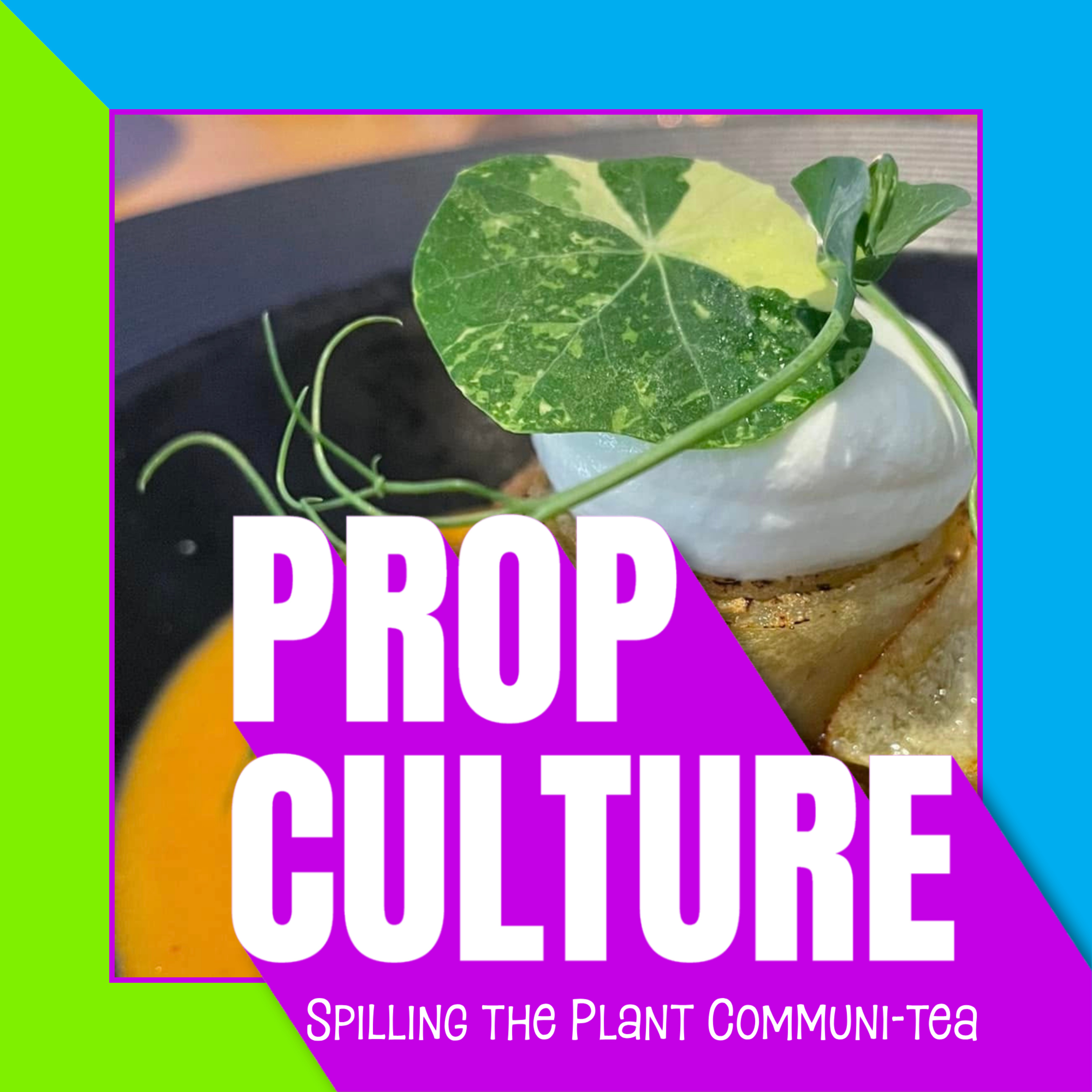 Prop Culture
