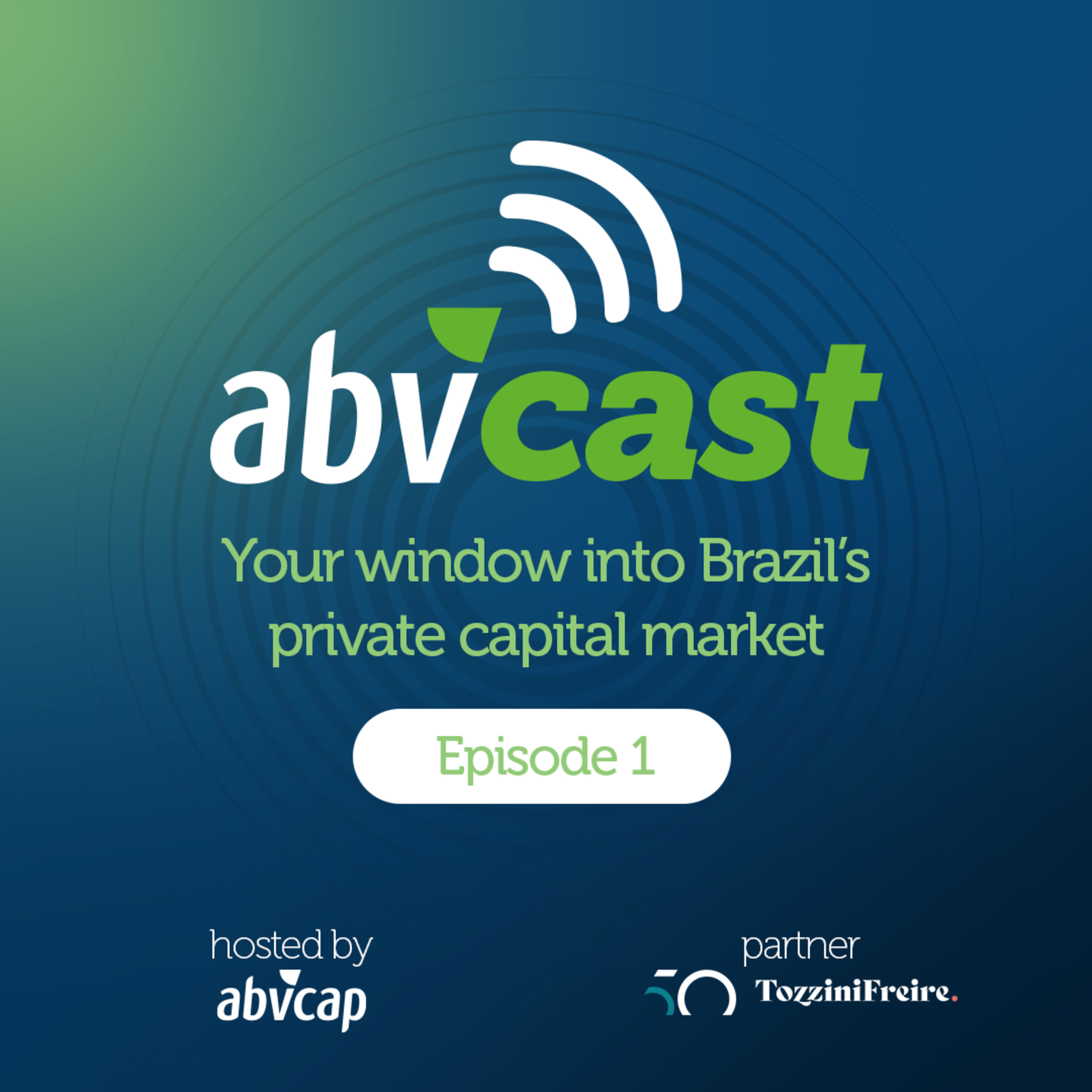 1. Brazil’s Private Capital Market: A Global Investor Take